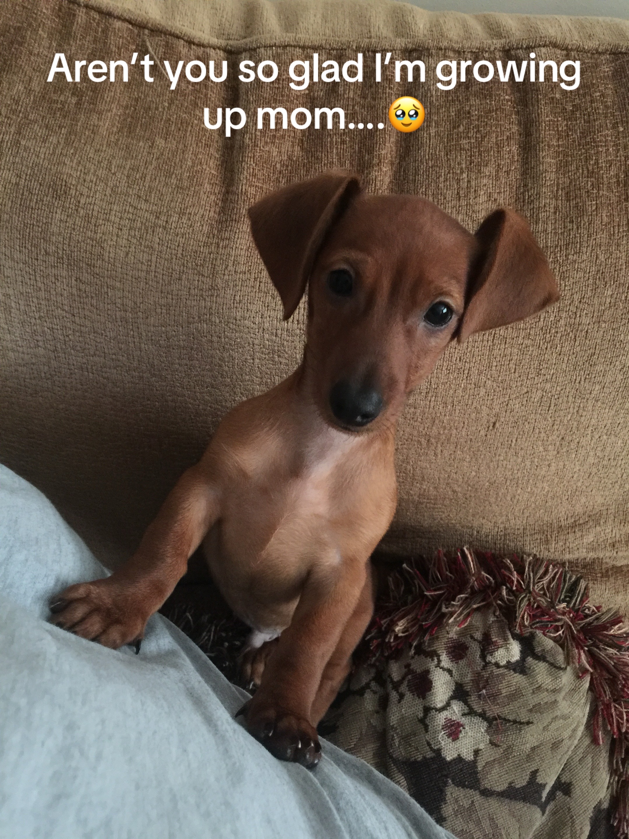 @Kaylee Anne86