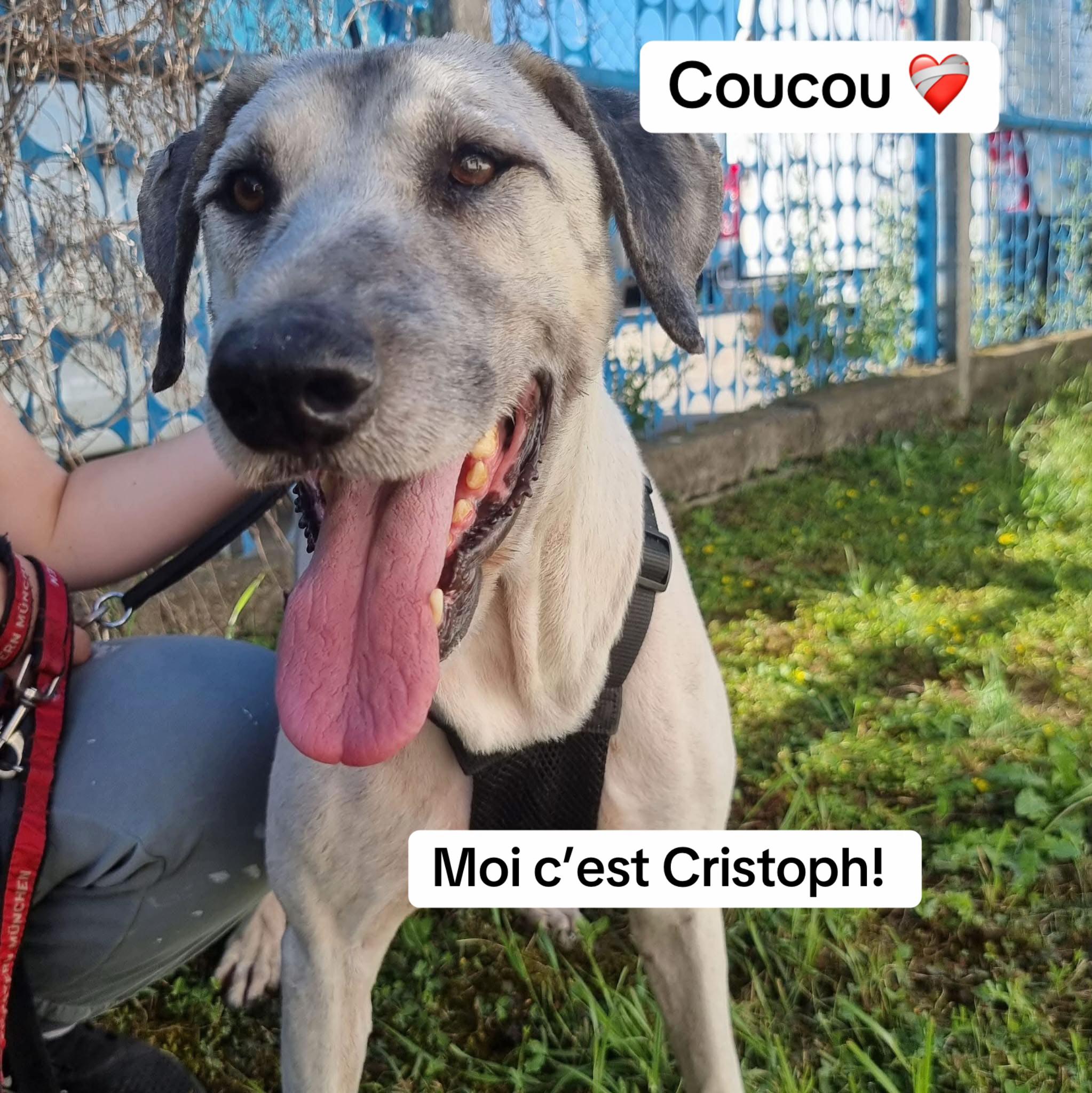@Adopte Une Truffe 🐶