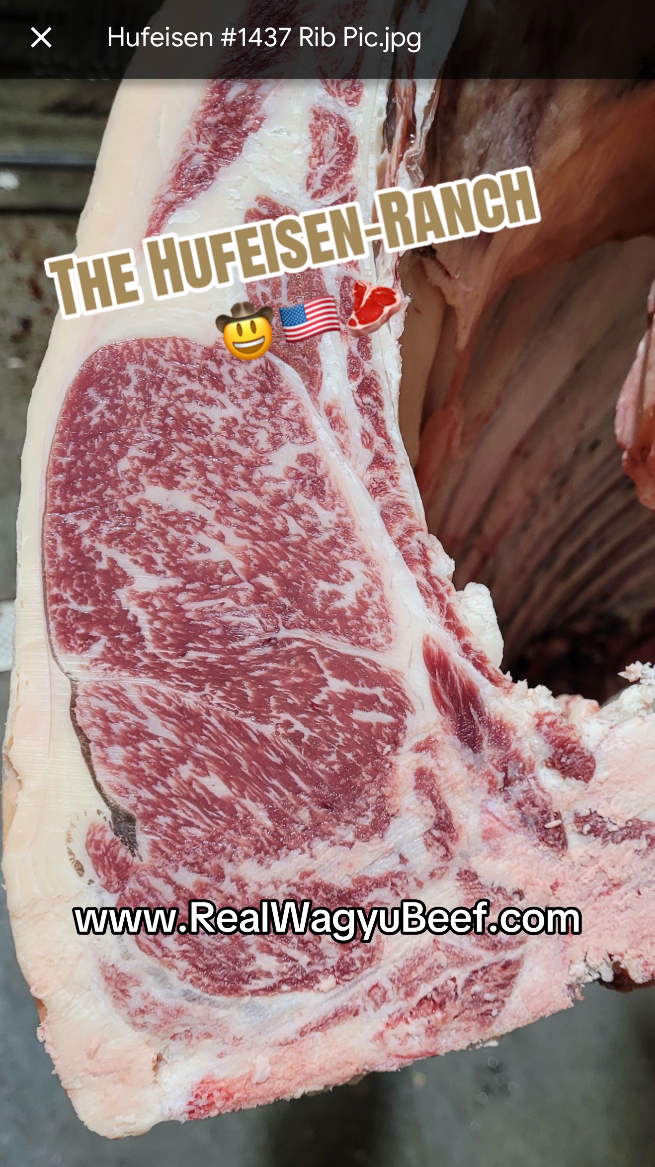 @American Rancher 🤠🇺🇸🥩