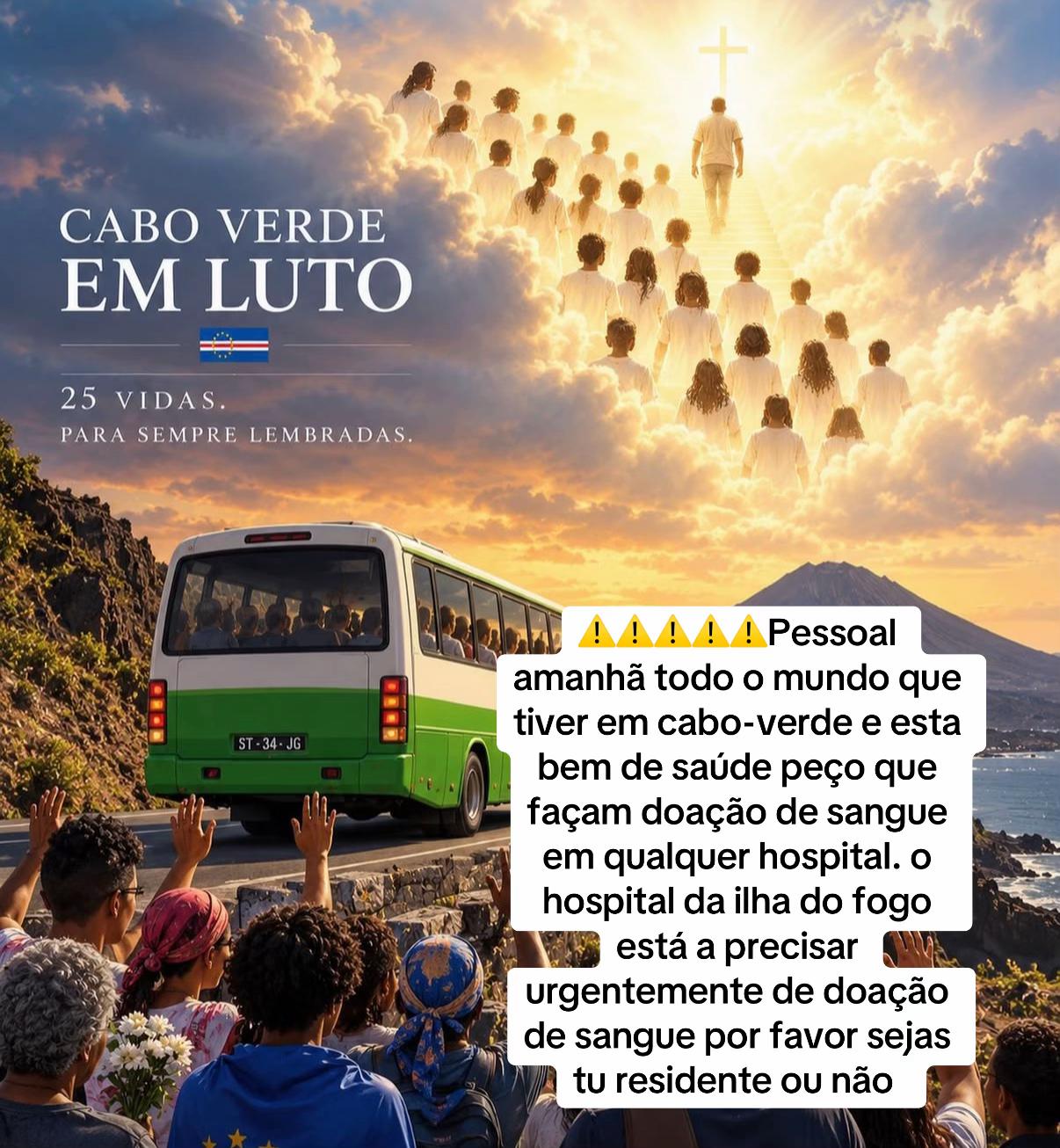 @Paloma Mendes