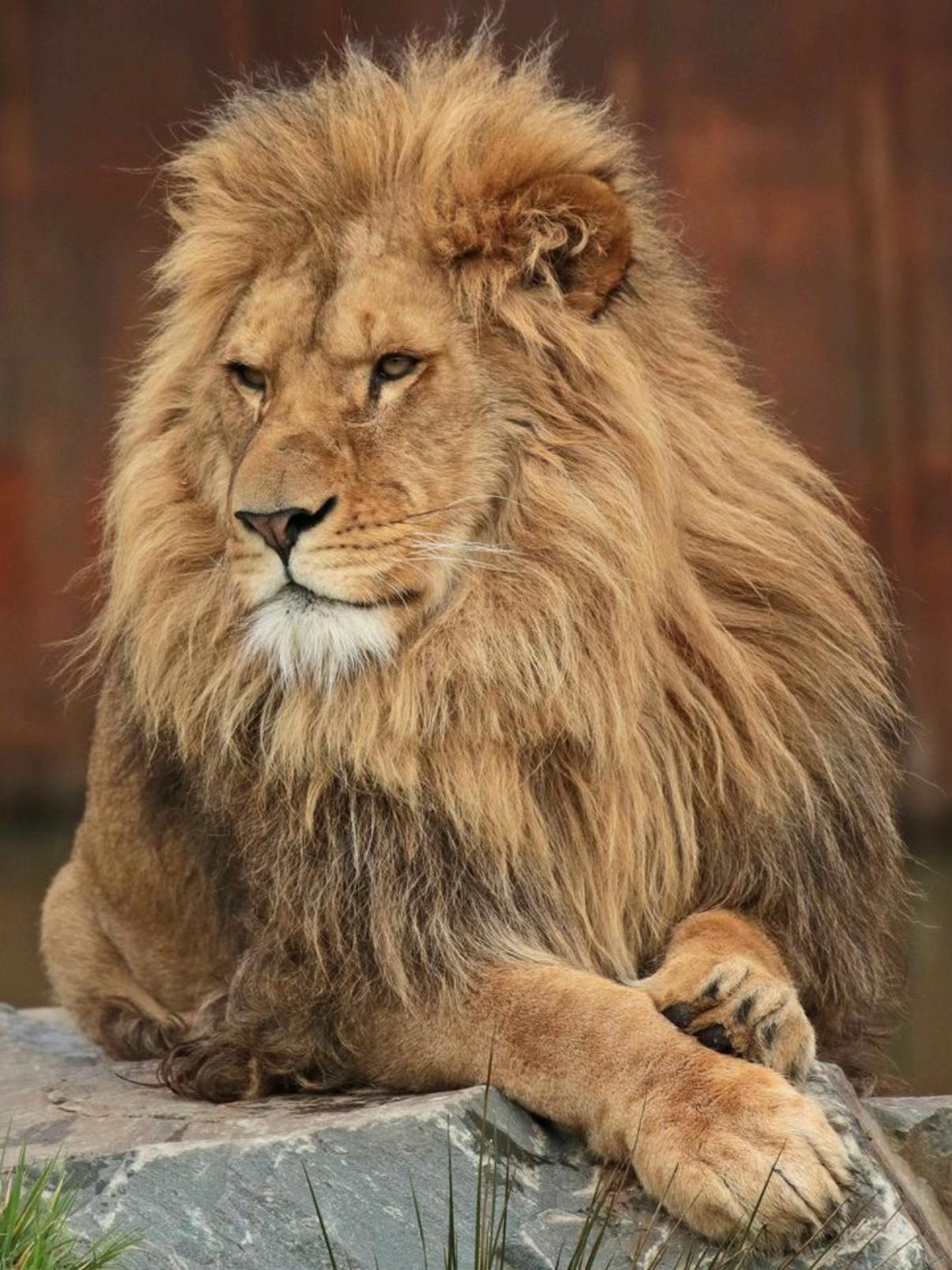 @𝓛𝓾𝓬𝓪_388