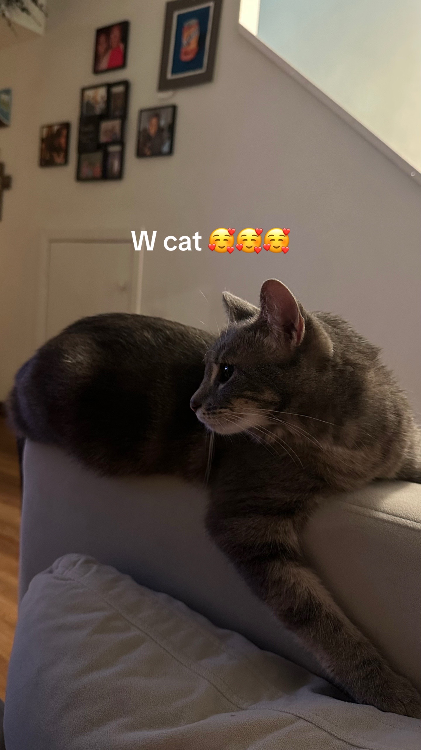 @jacqueef