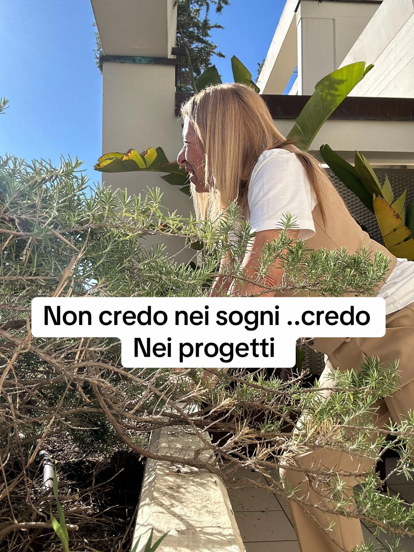 @monicanetworkfacile