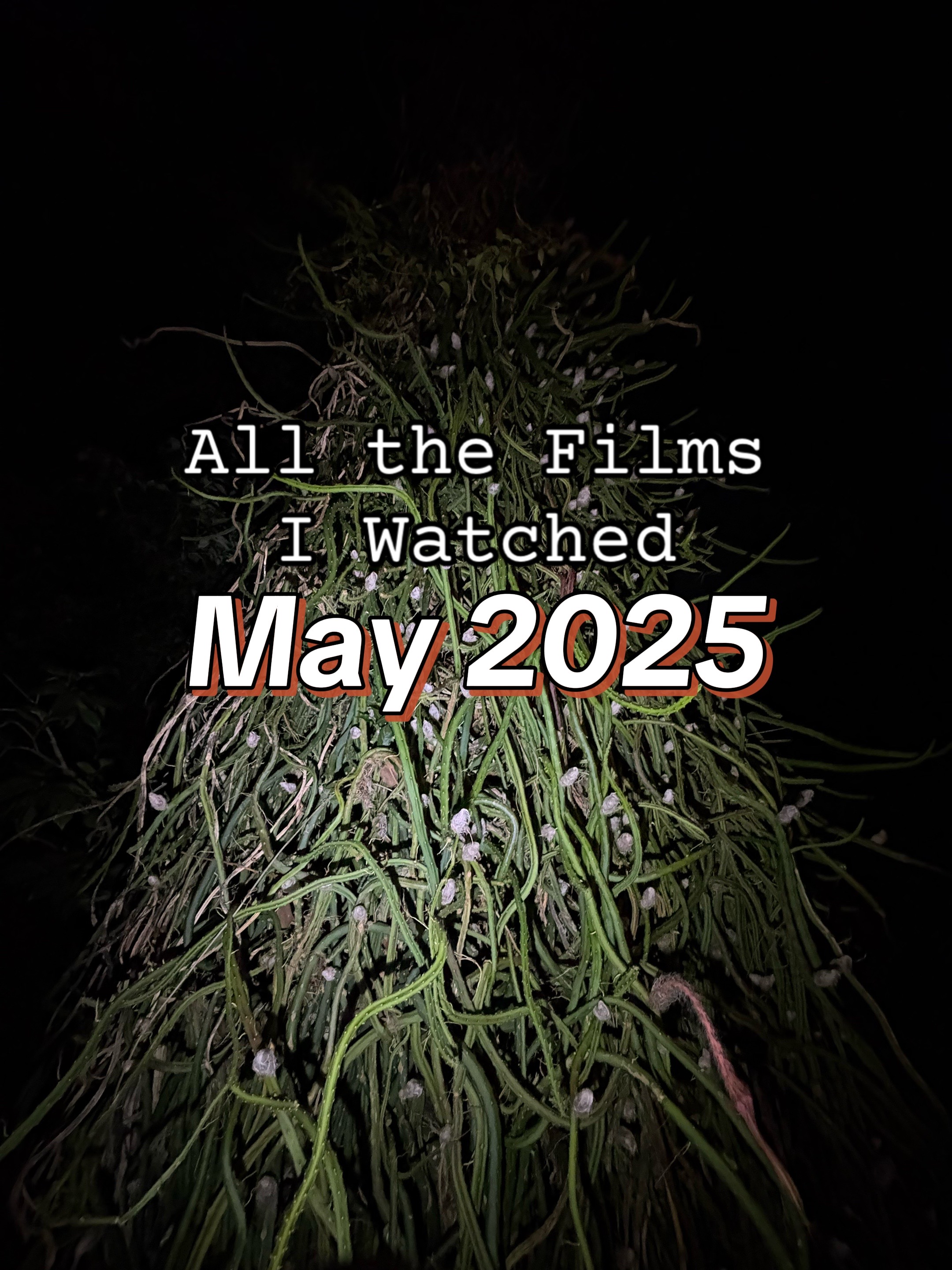 @A l l i s o n