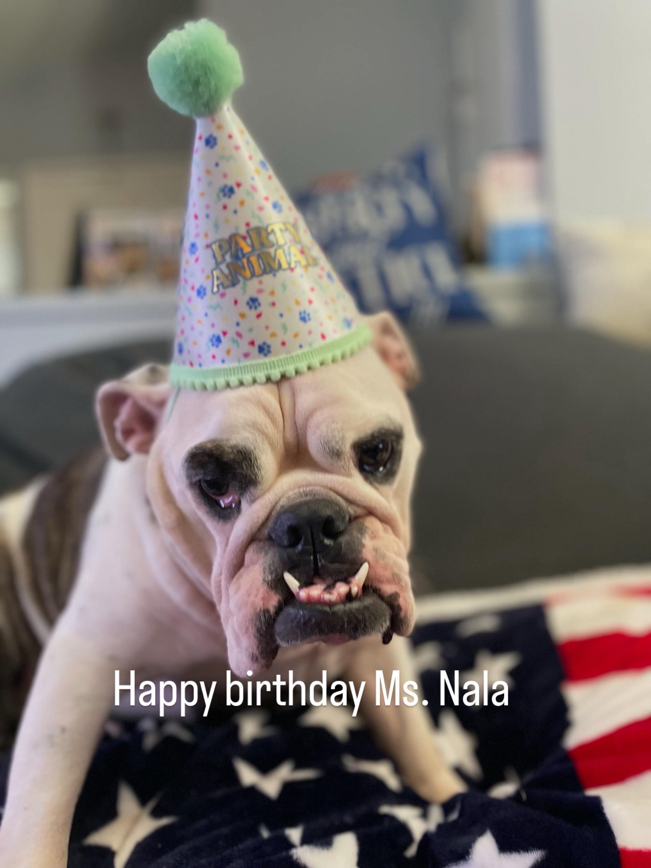 @nalathebulldog20