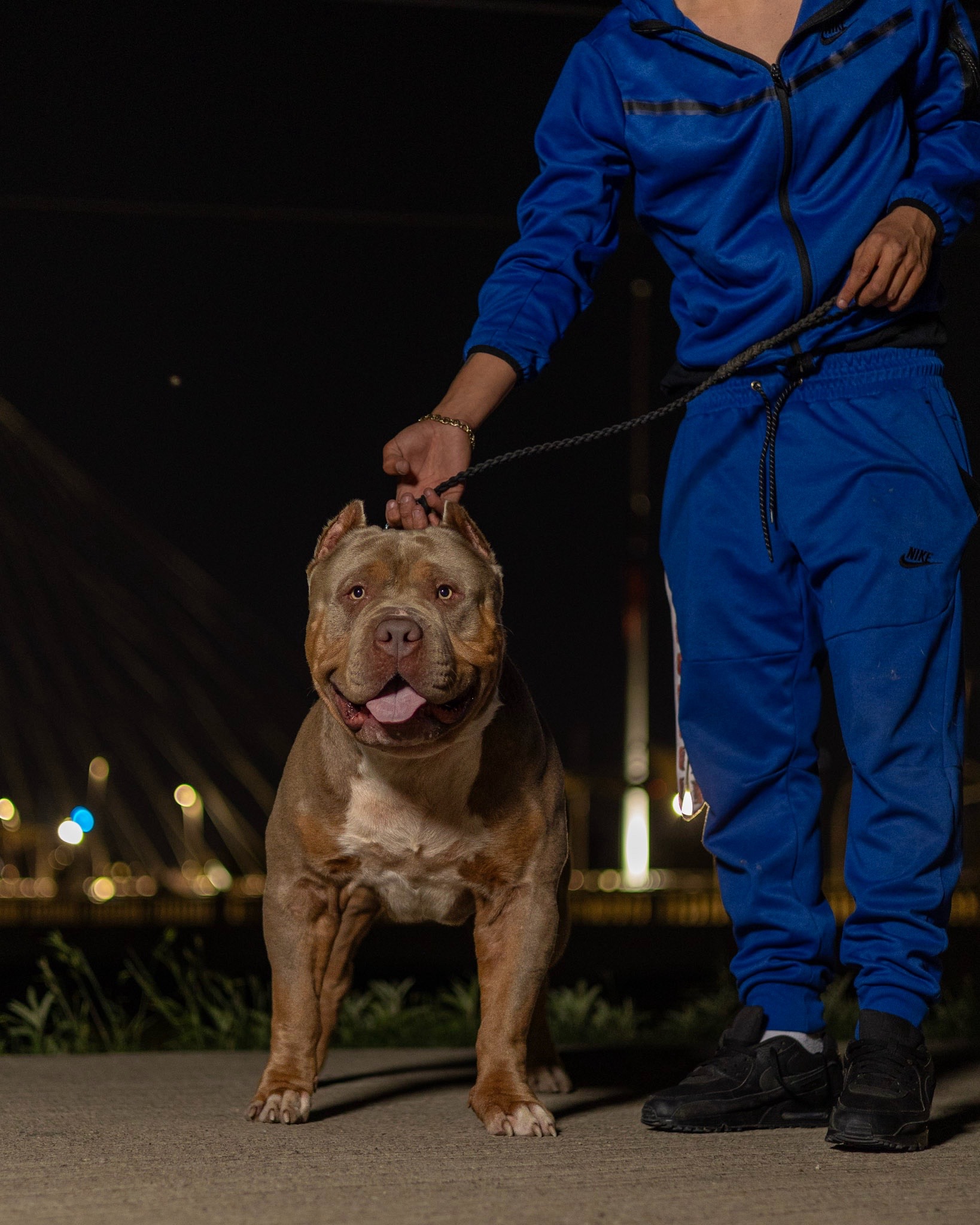 @Dtx_dogkennels