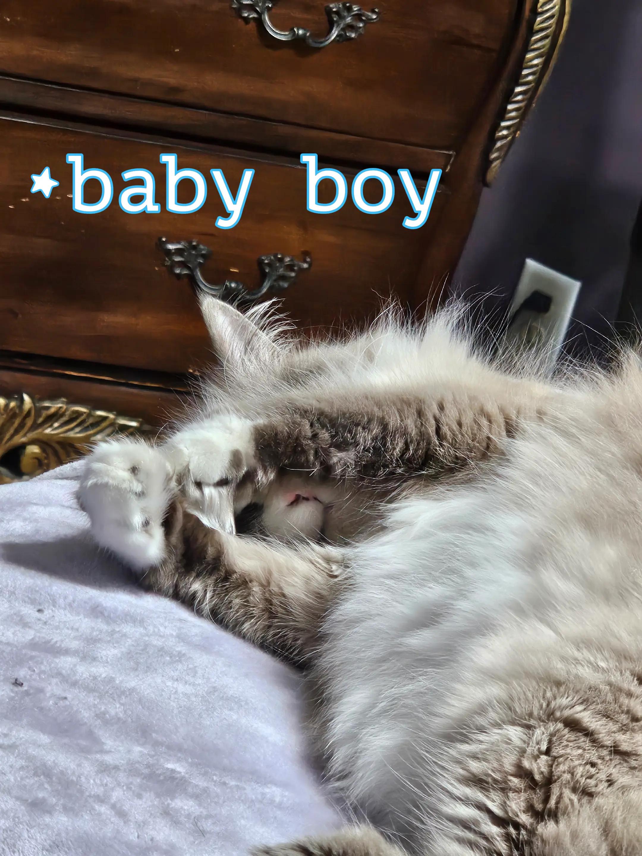 @โ๐๐๐๐๐โ