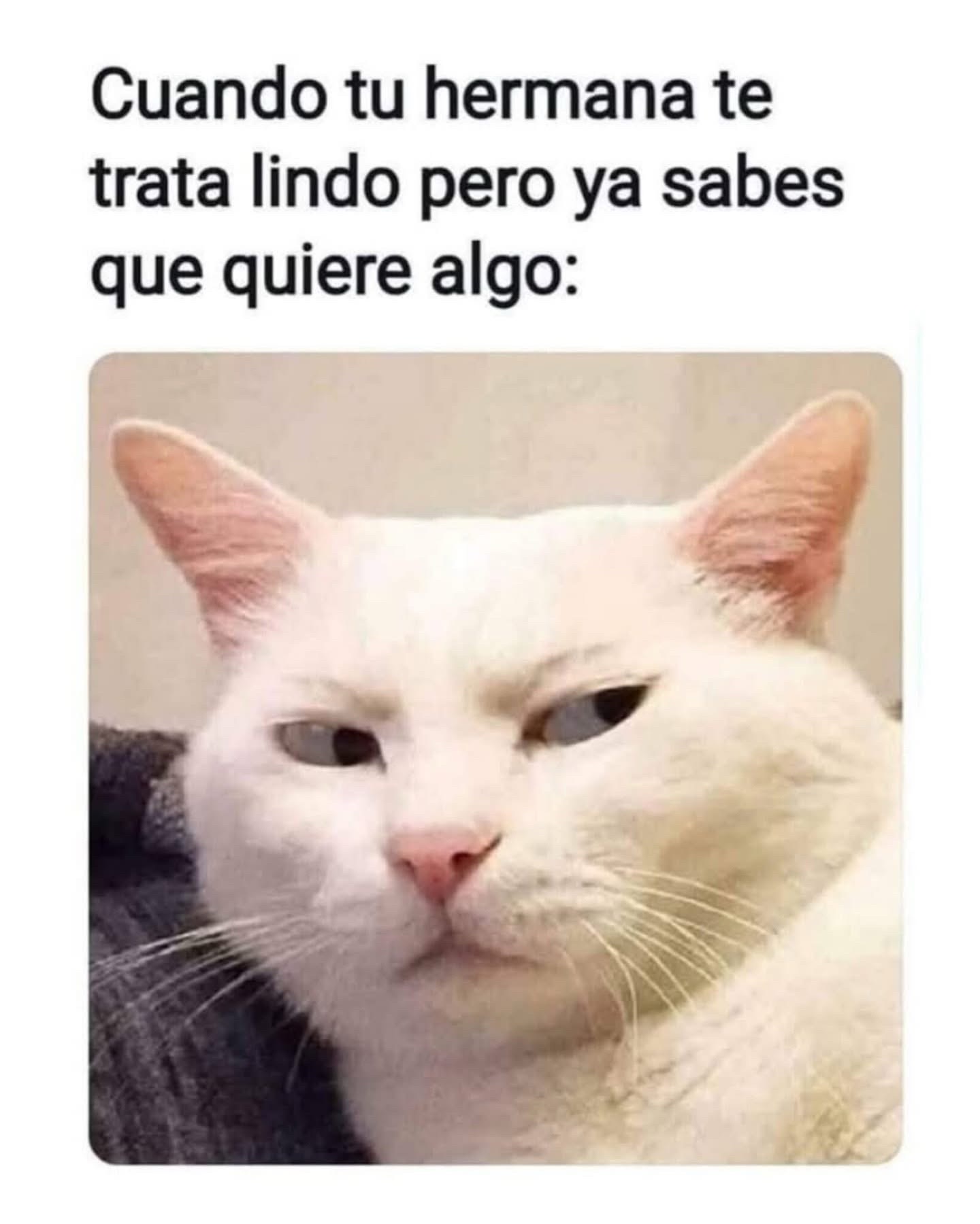 @ME787