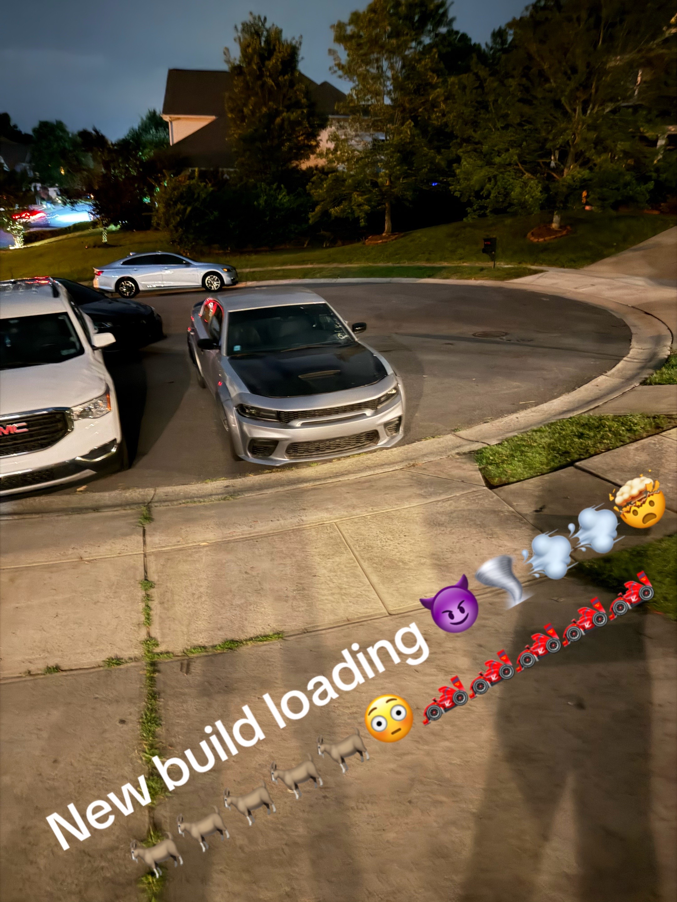 @392 milly