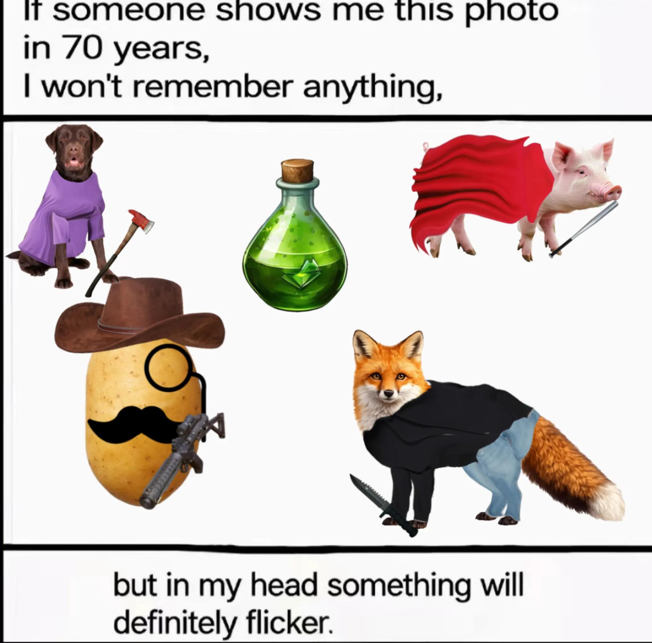 @🏳️&zwj;⚧️🦊foxy🦊🏳️&zwj;⚧️