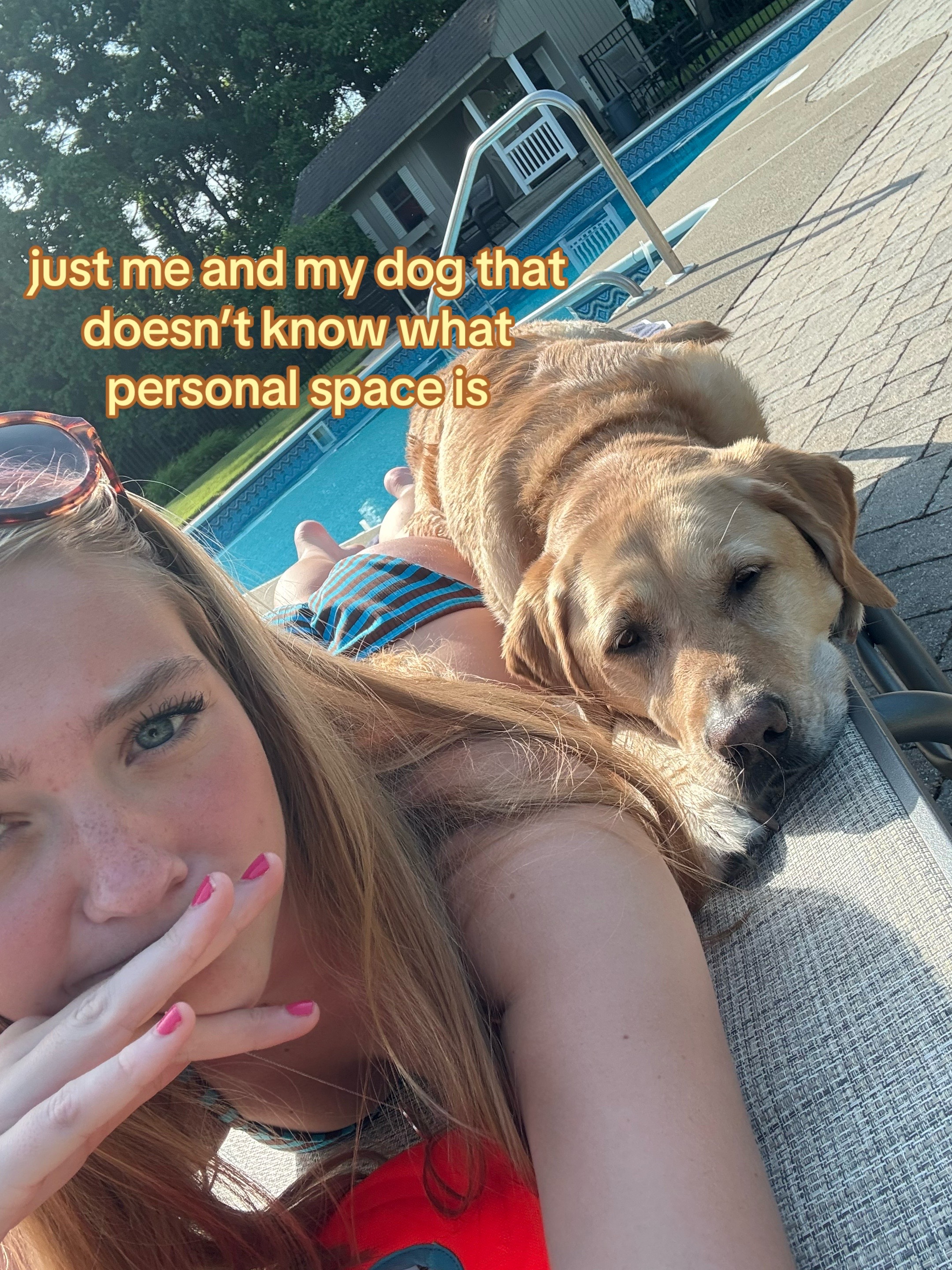 @nordog