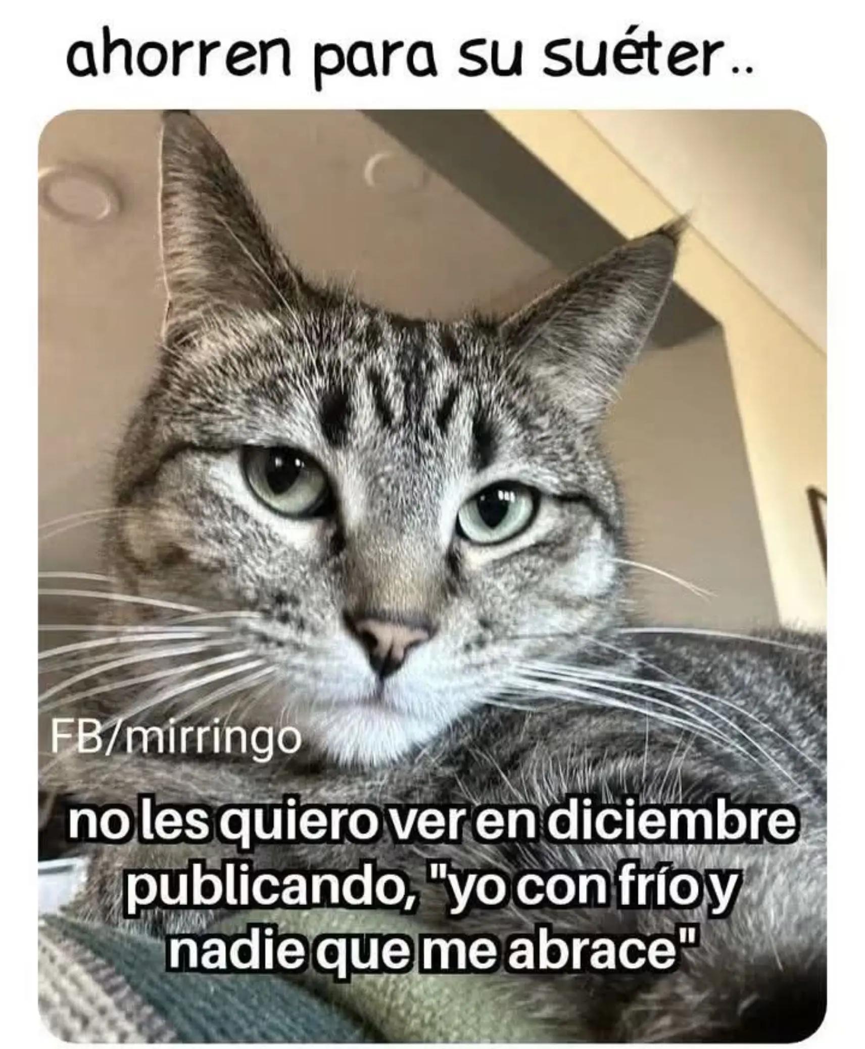 @gigi40