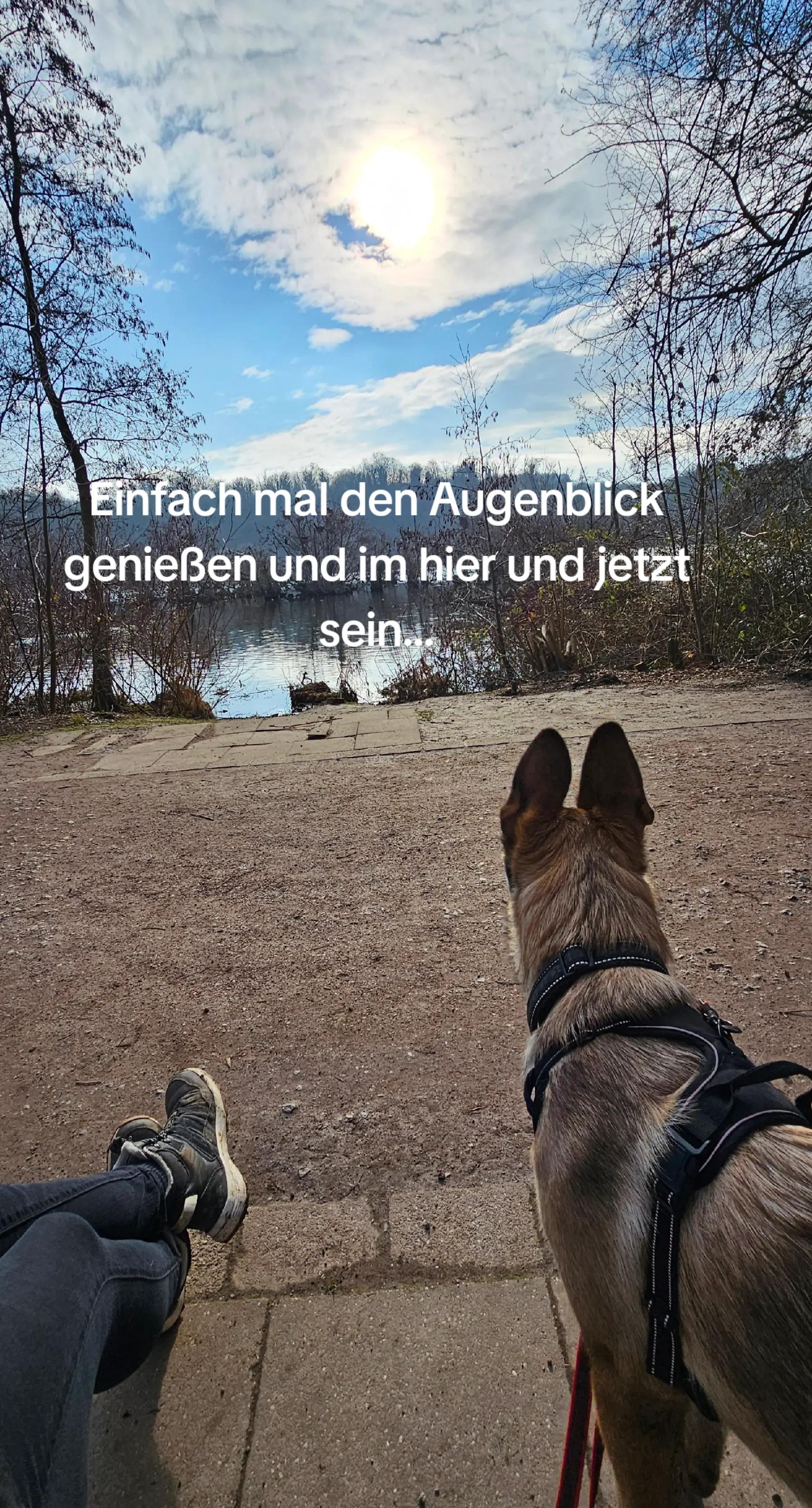 @Tanni 75la