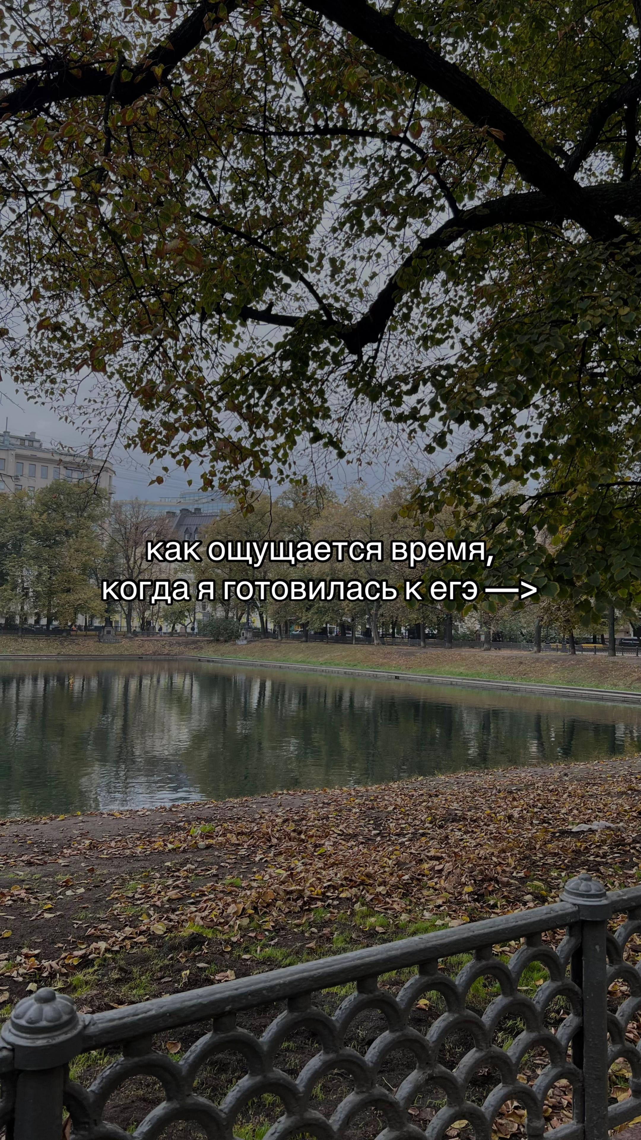 @Вера qiqli🐈