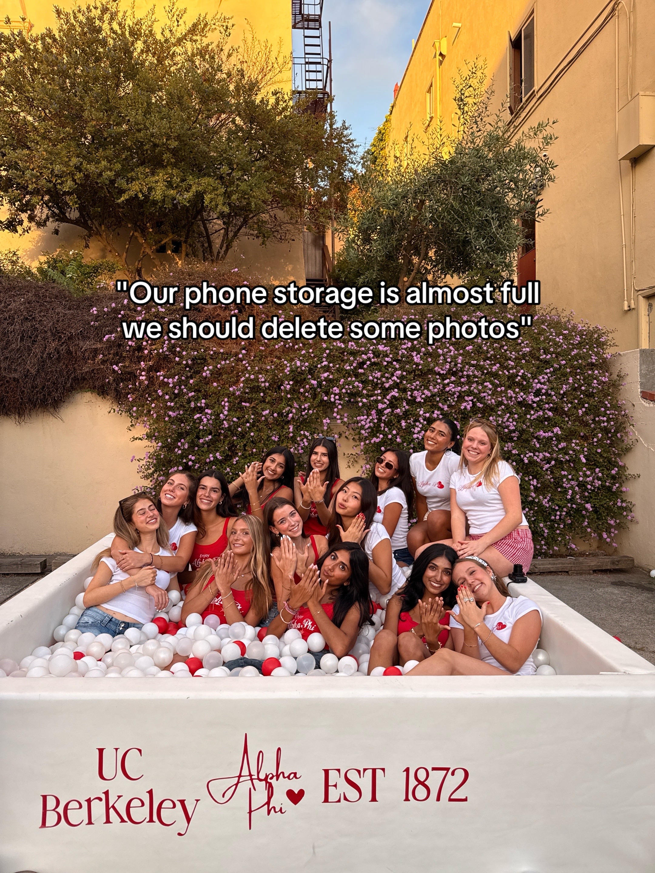 @CAL ALPHA PHI