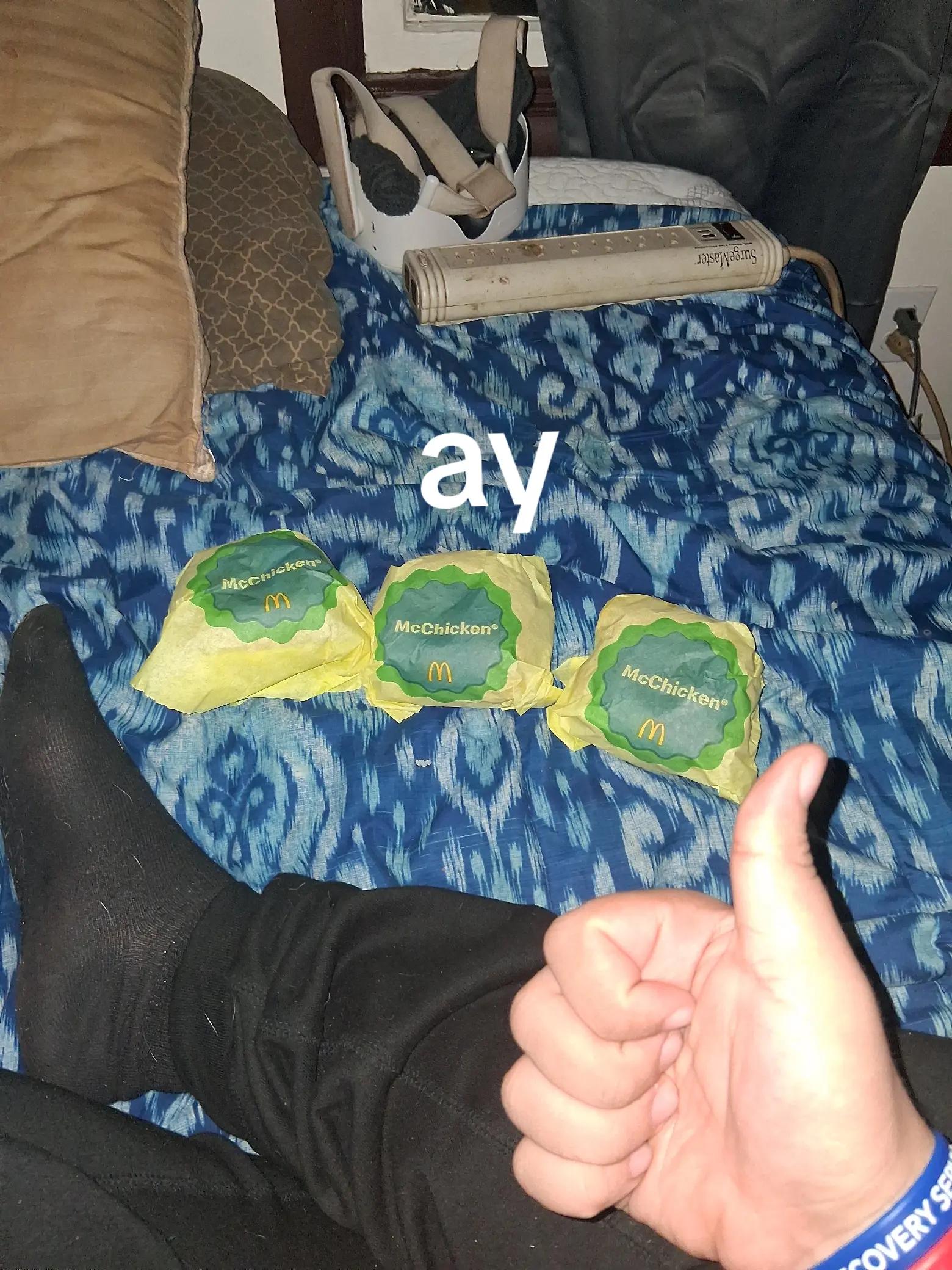 @🐢