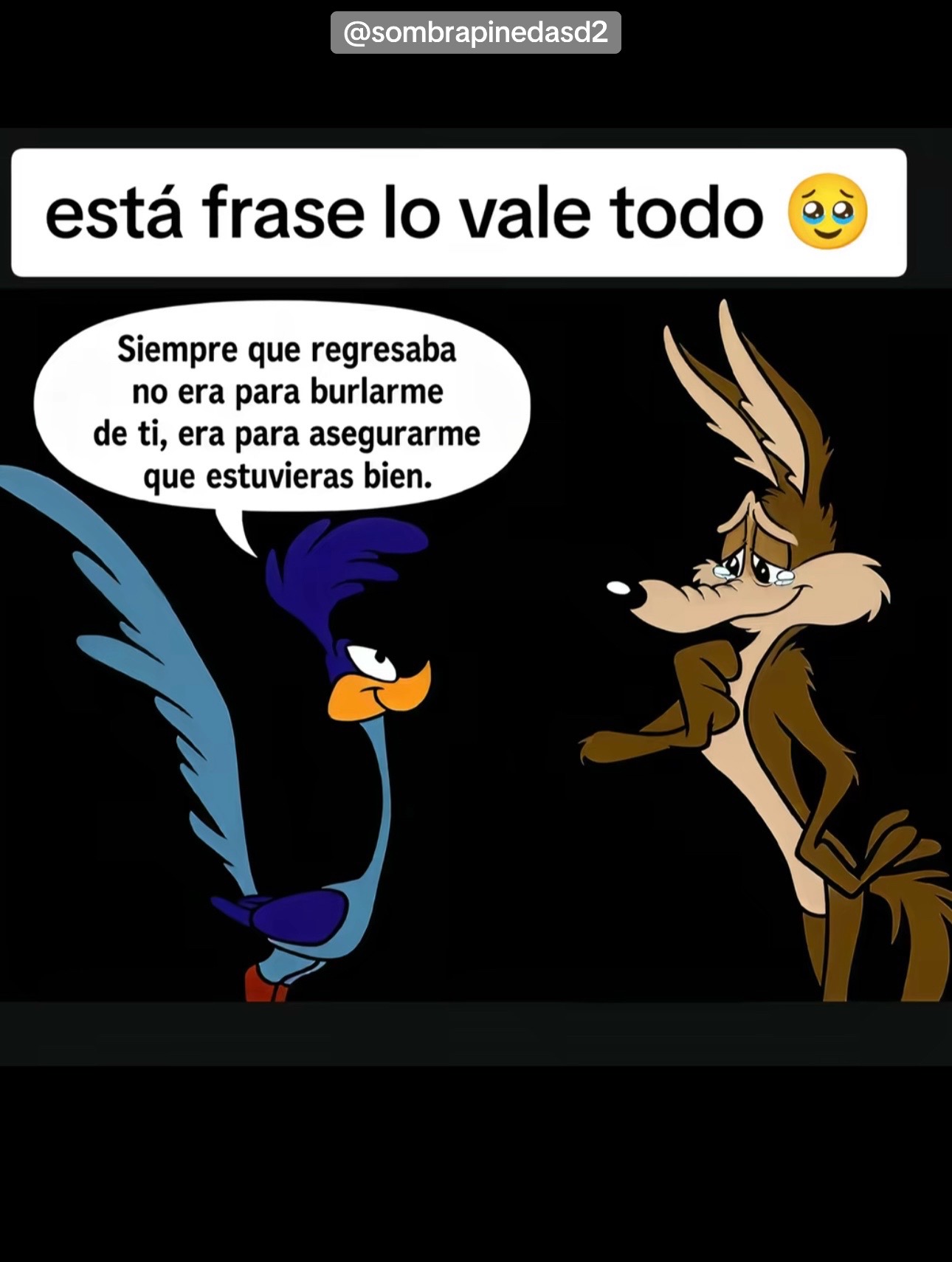 @SOMBRApinedaSD2