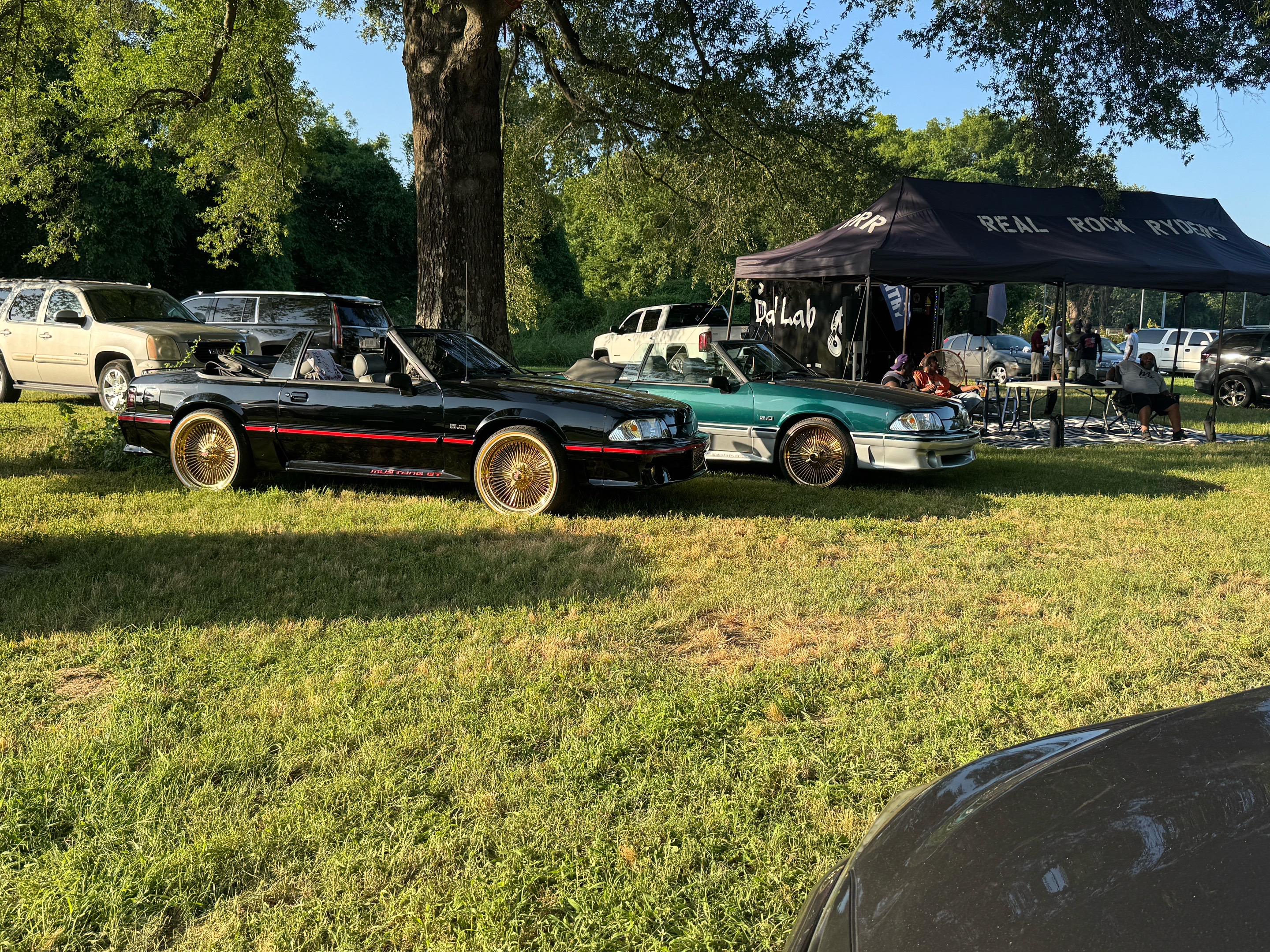 @Djworm501