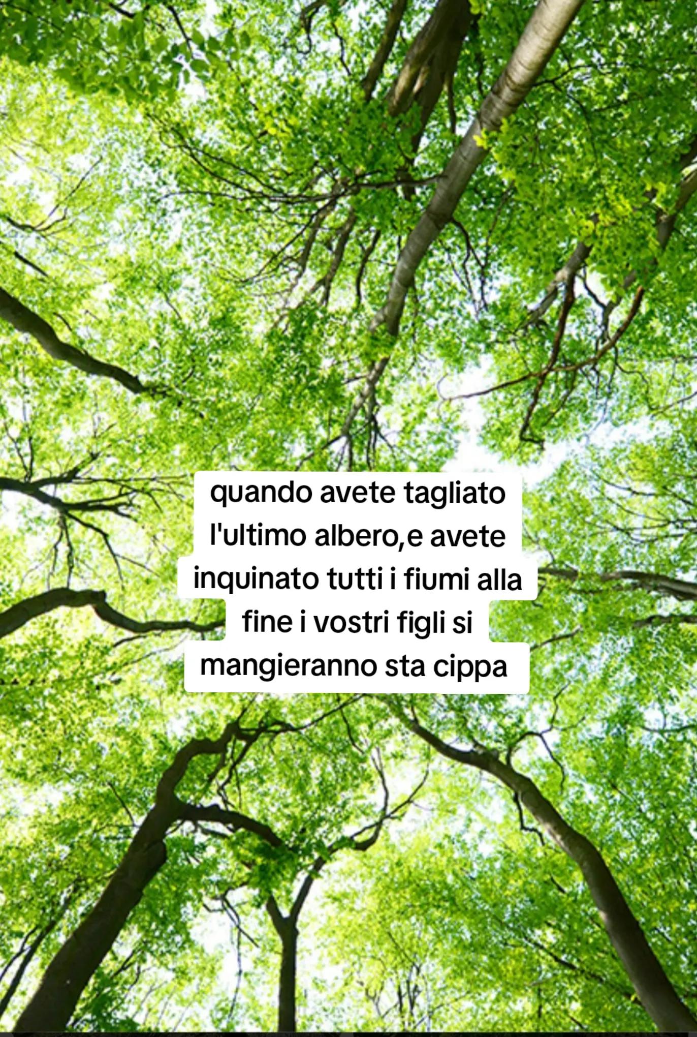 @ciropugliese379