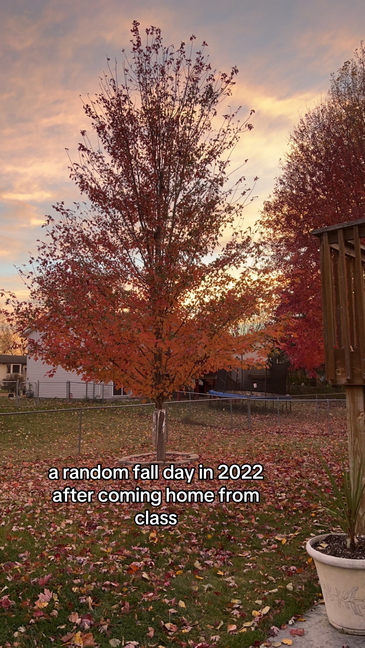@Sam