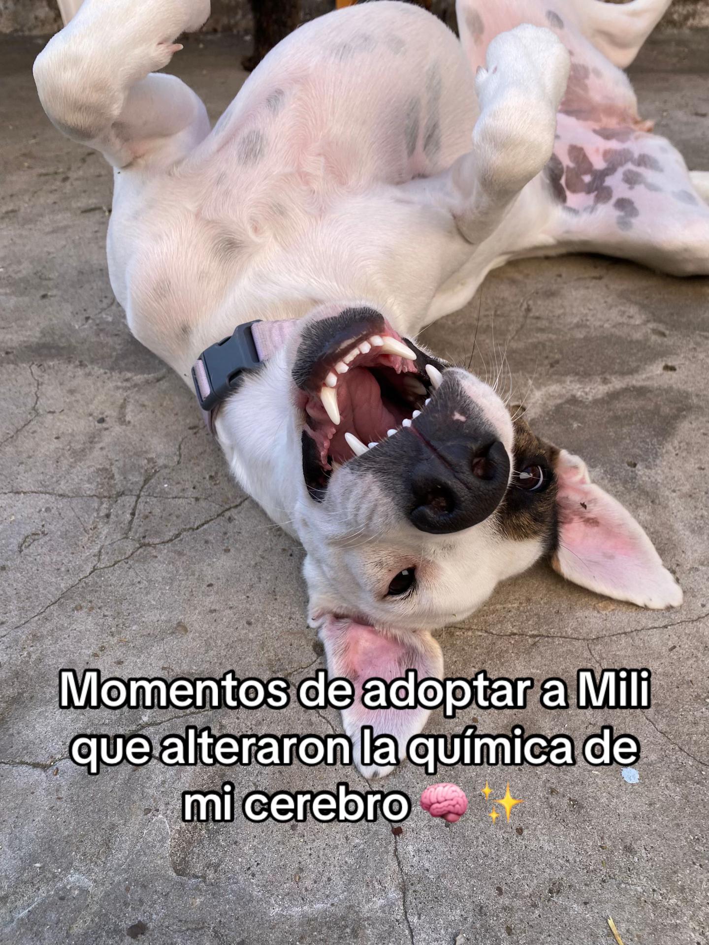 @Ayudanos a Ayudar