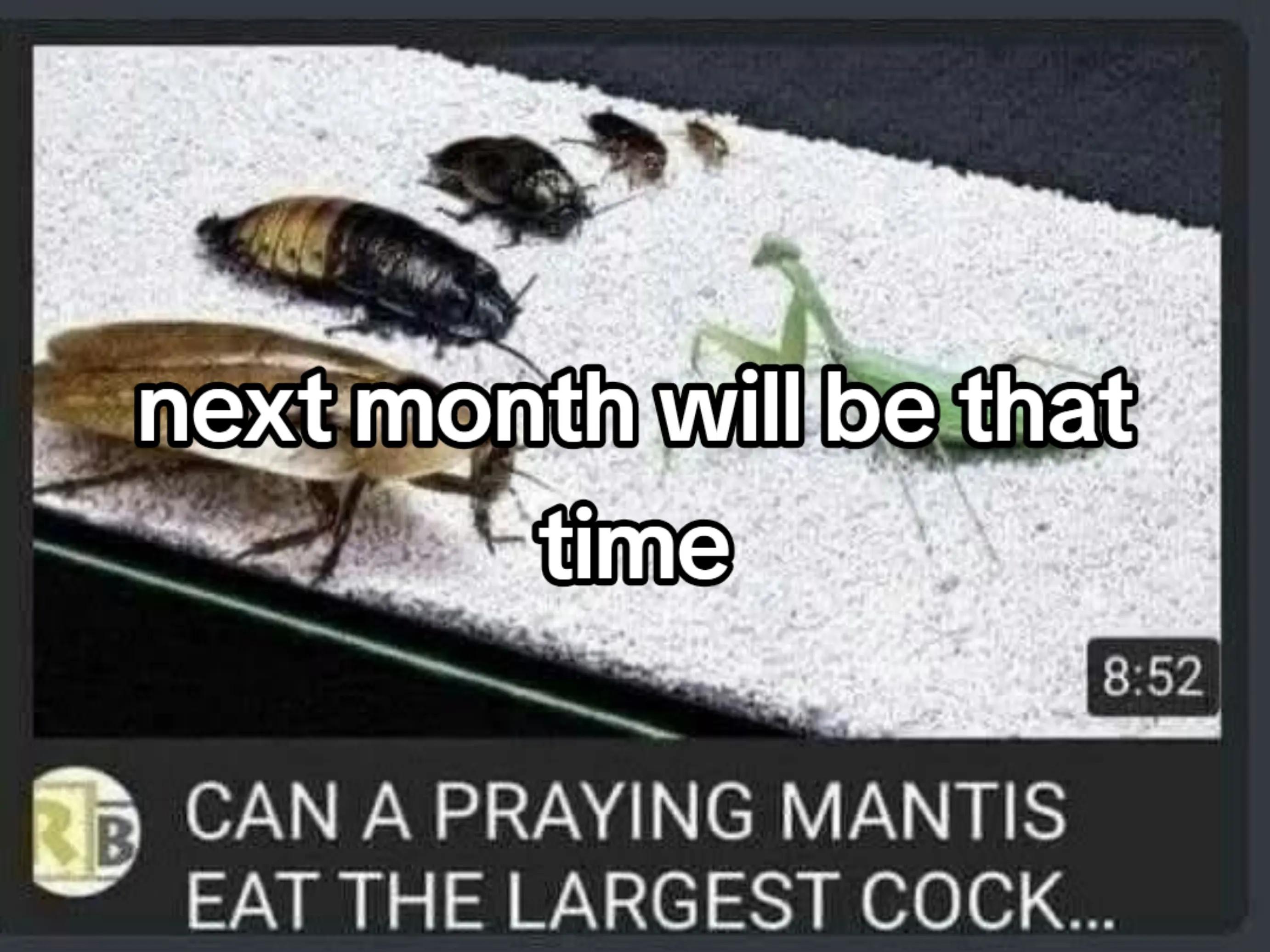 @Ani