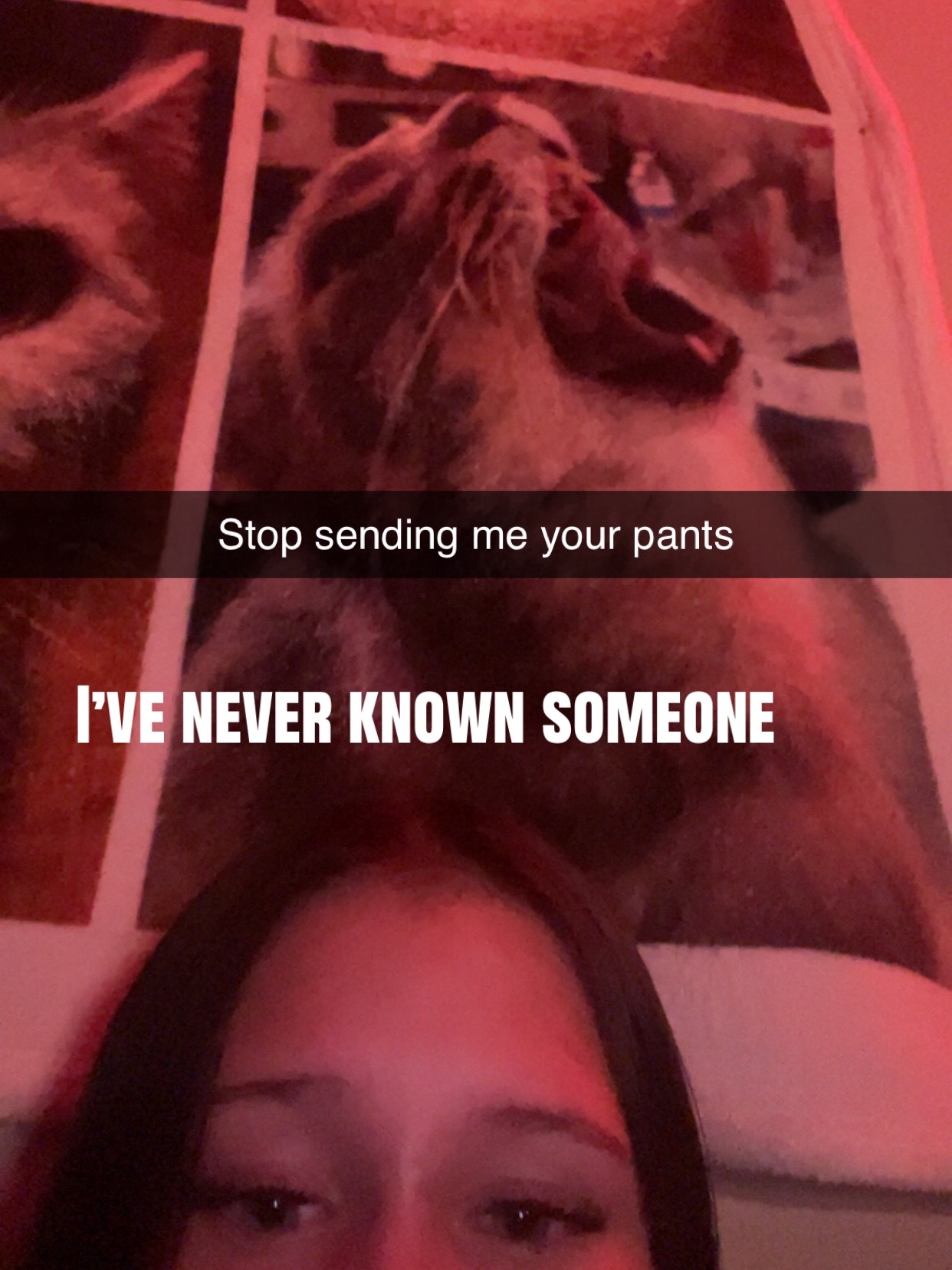 @️Brynn🦒