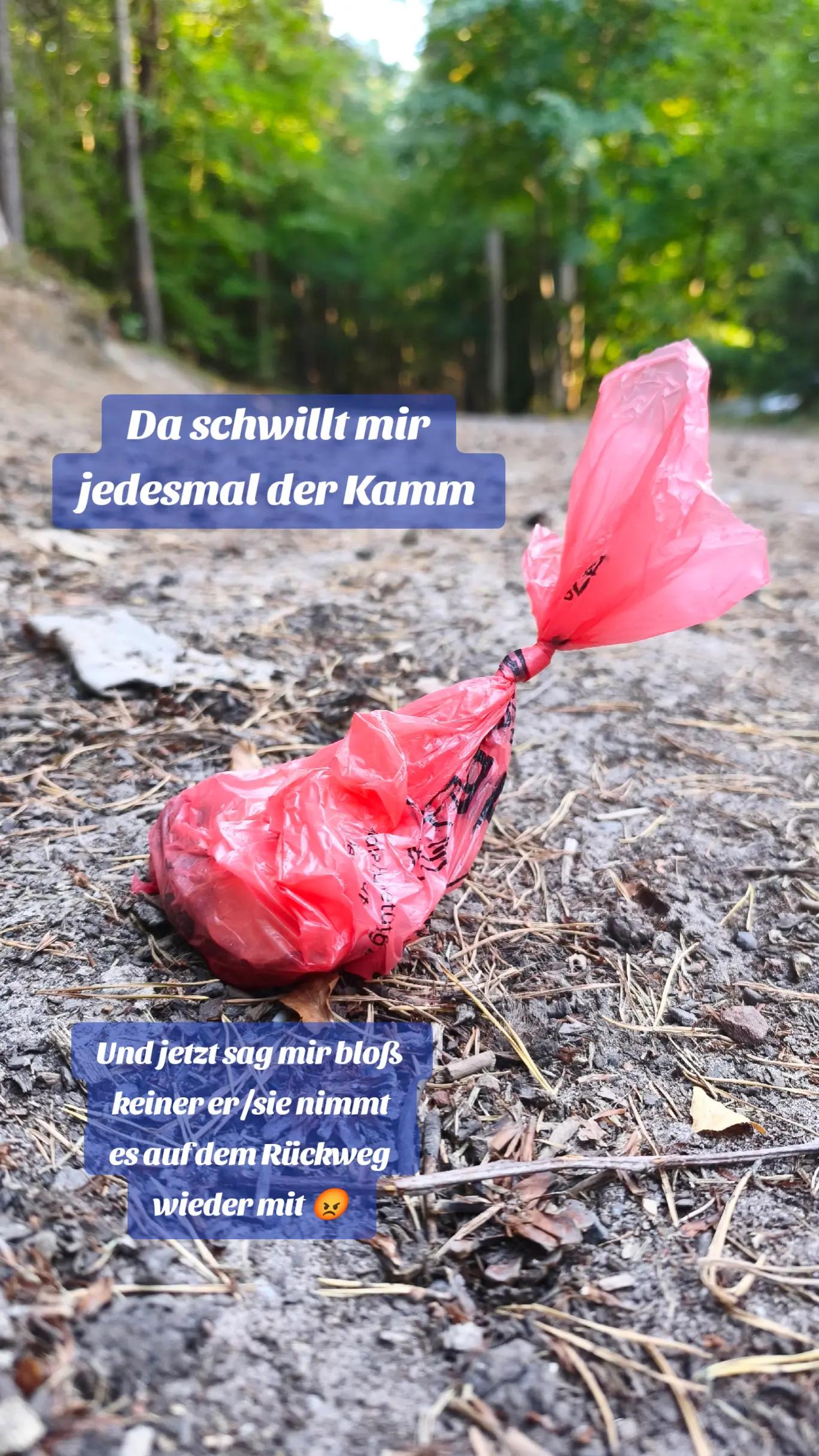 @ICH BIN'S