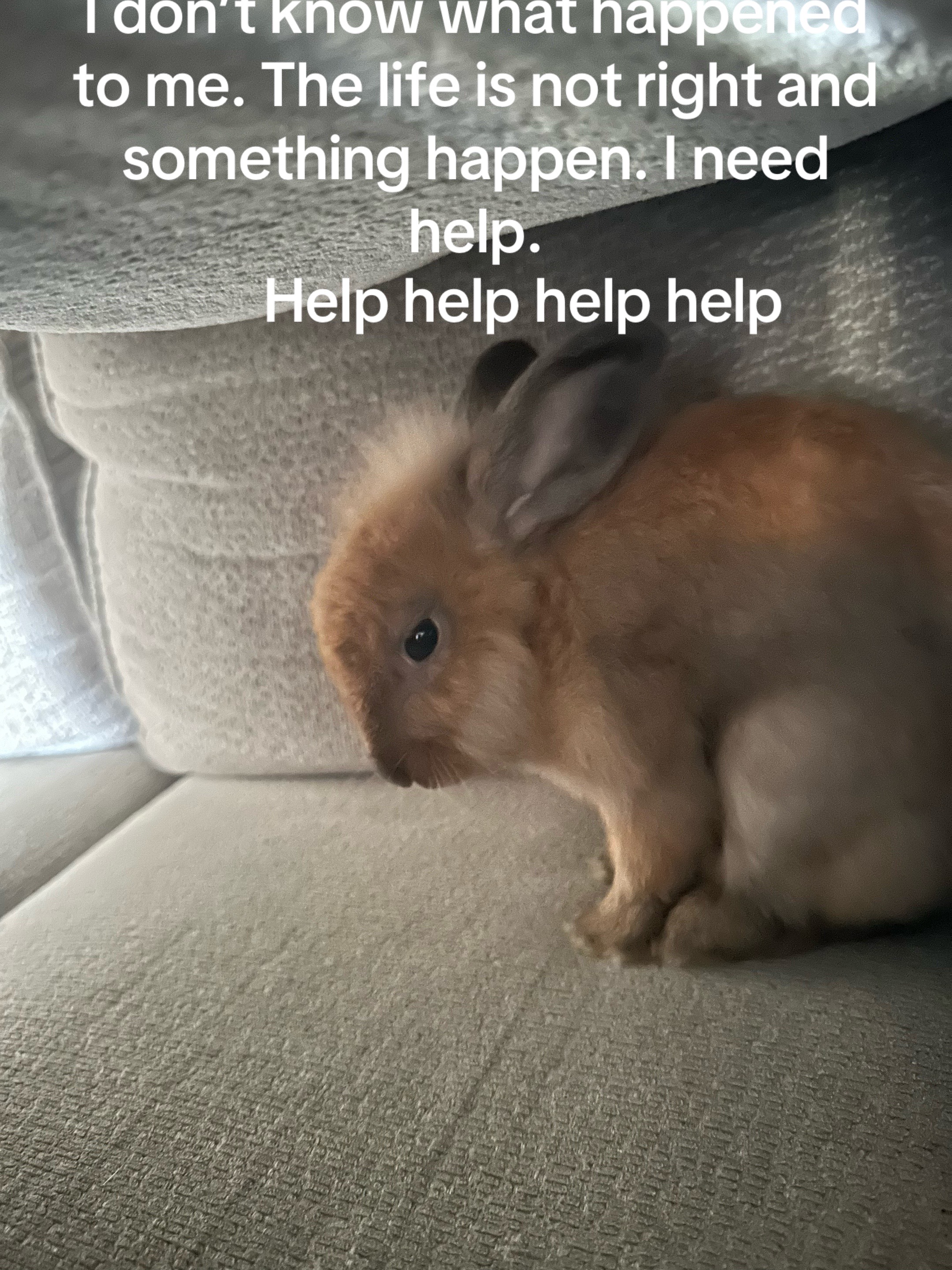 @Tik tok xxx