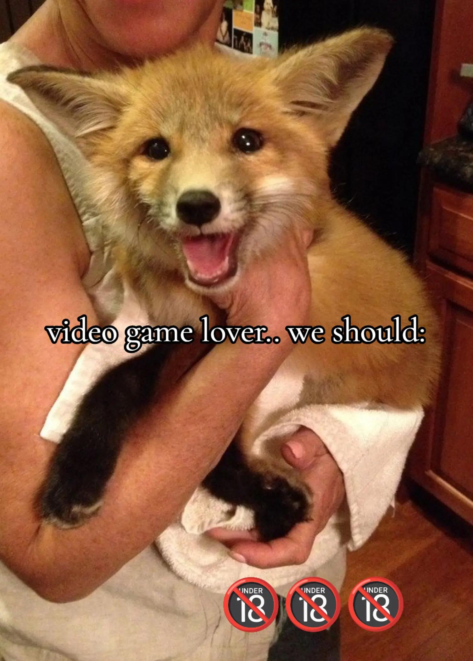@𝙍𝙞𝙡𝙠𝙖 🦊