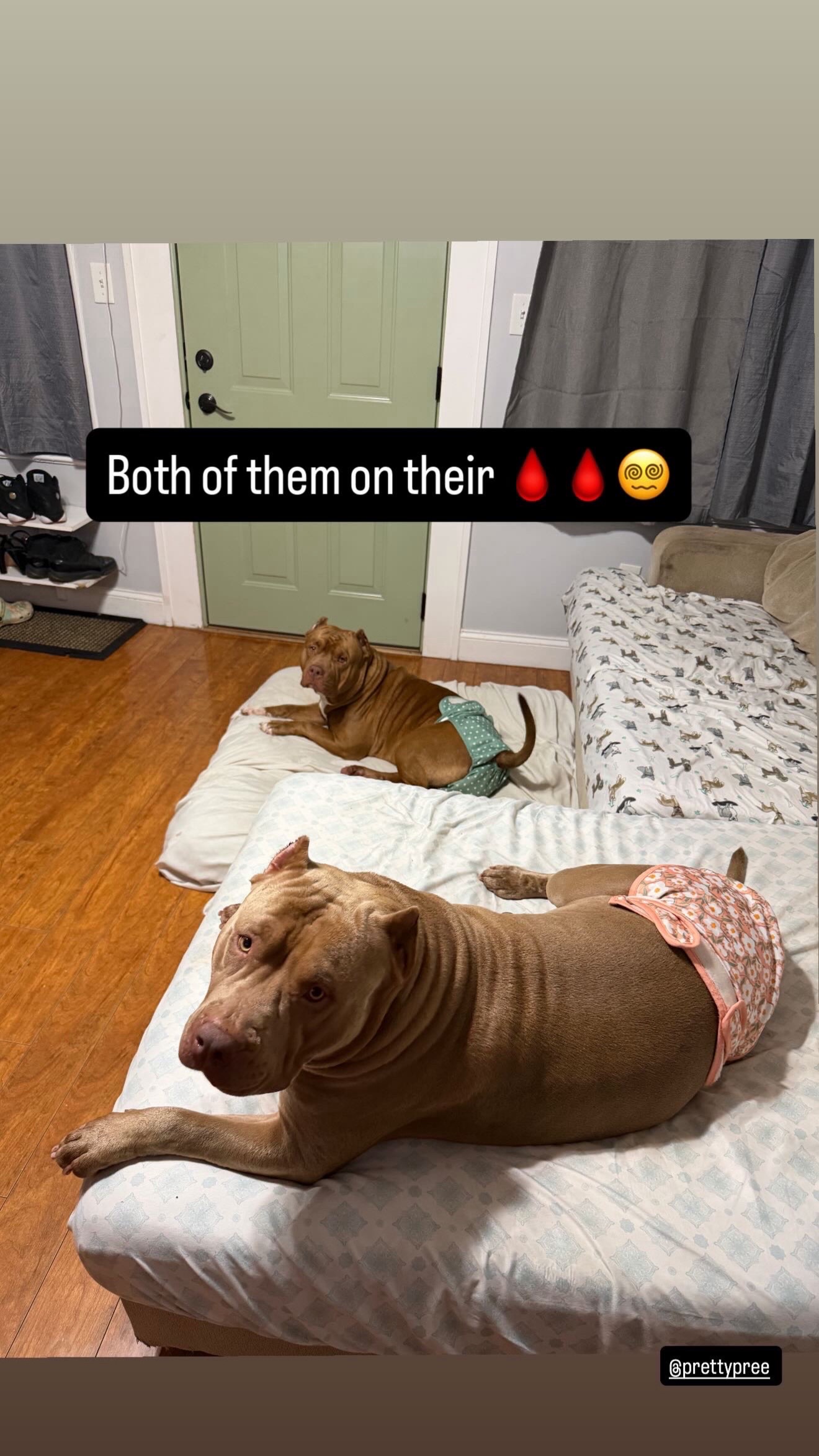 @kalsdad