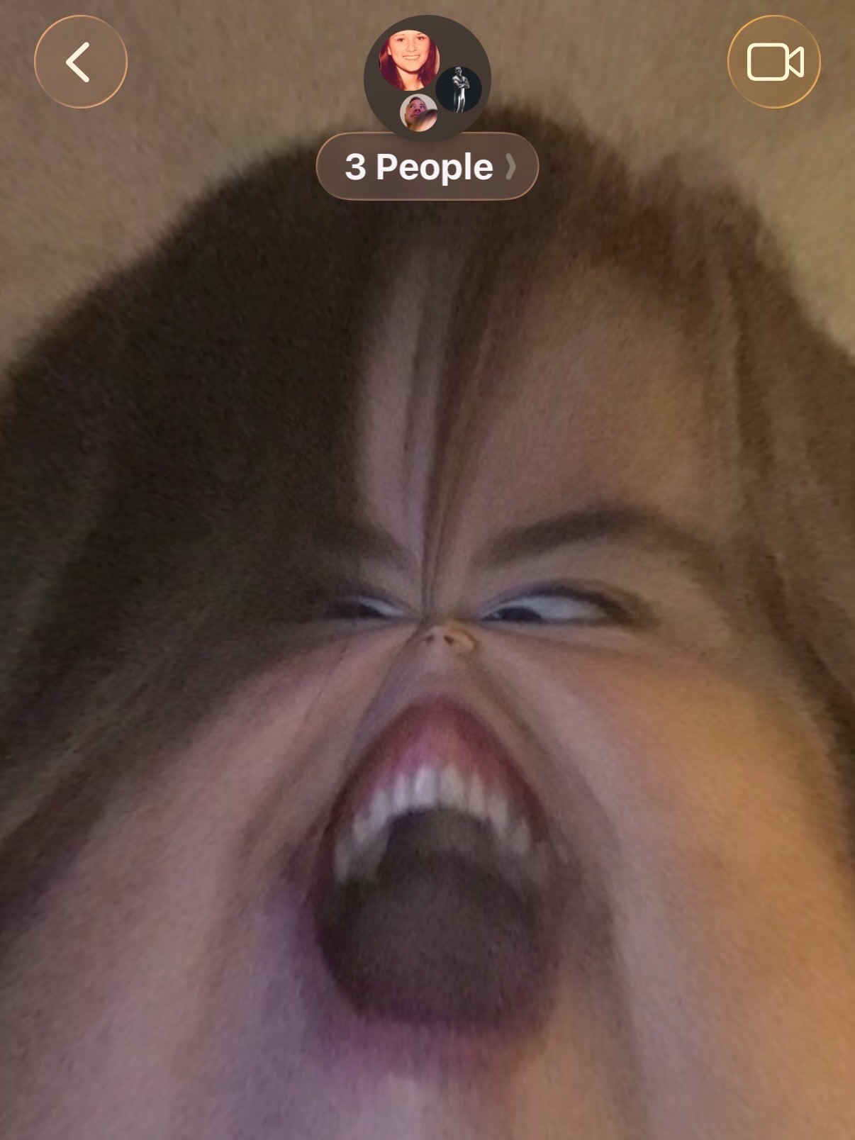 @Veronica “Roni” Baumgarner