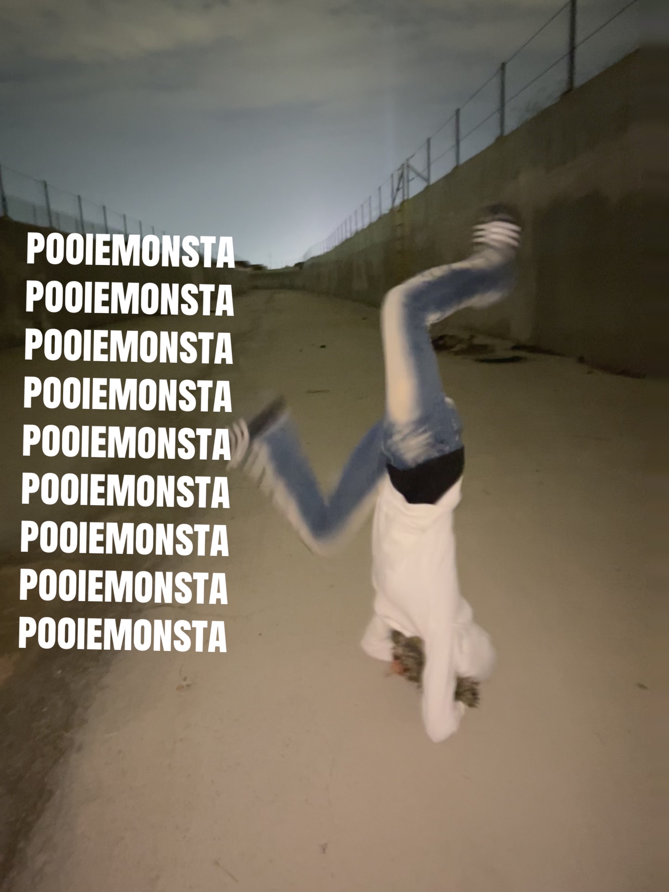 @🕊️