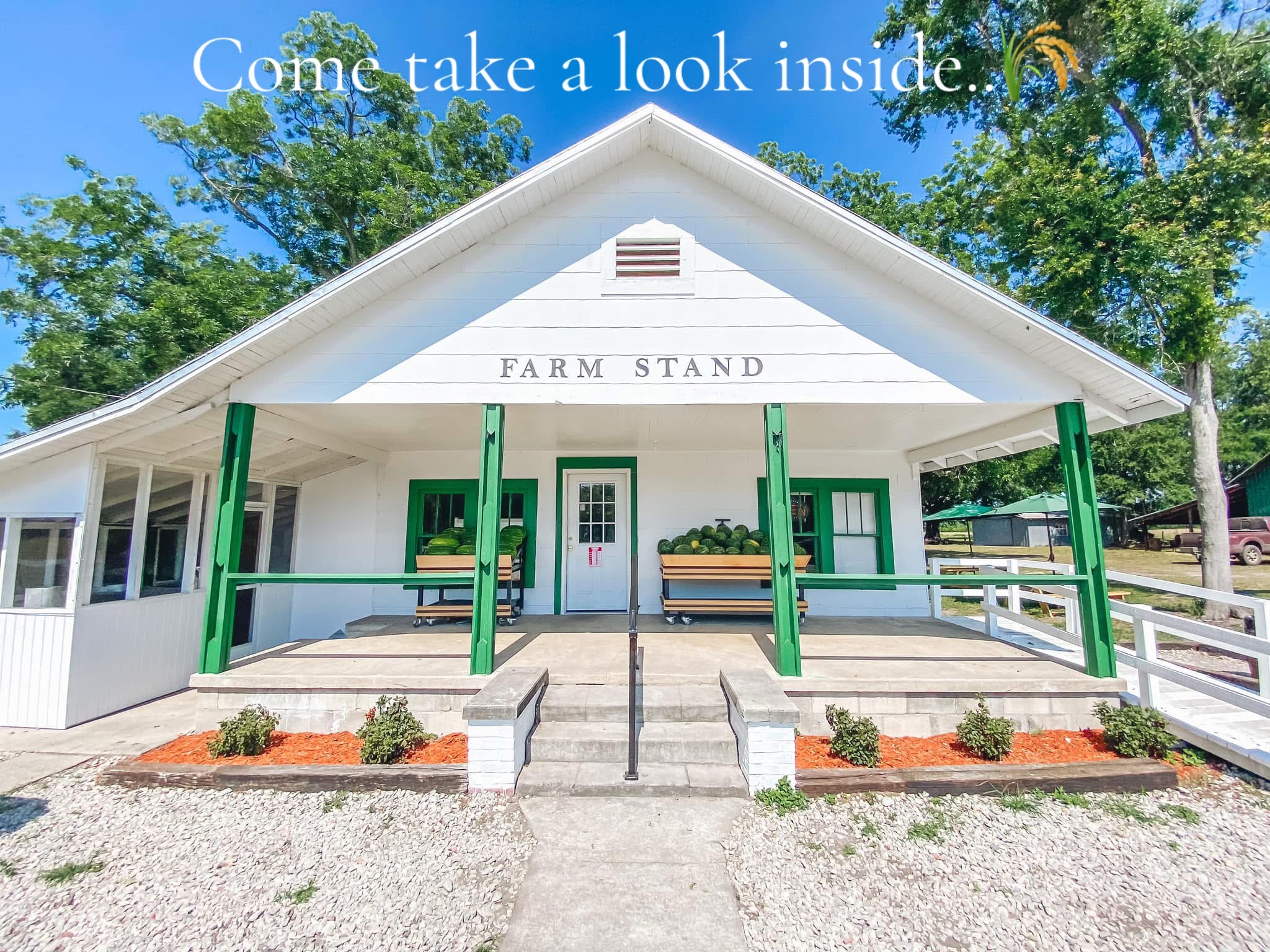 @Branford Farm Stand☀️