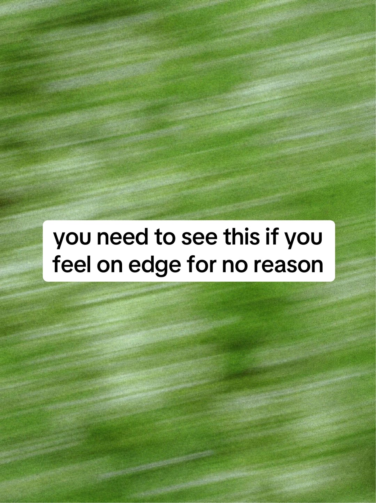 @TheVideoNook