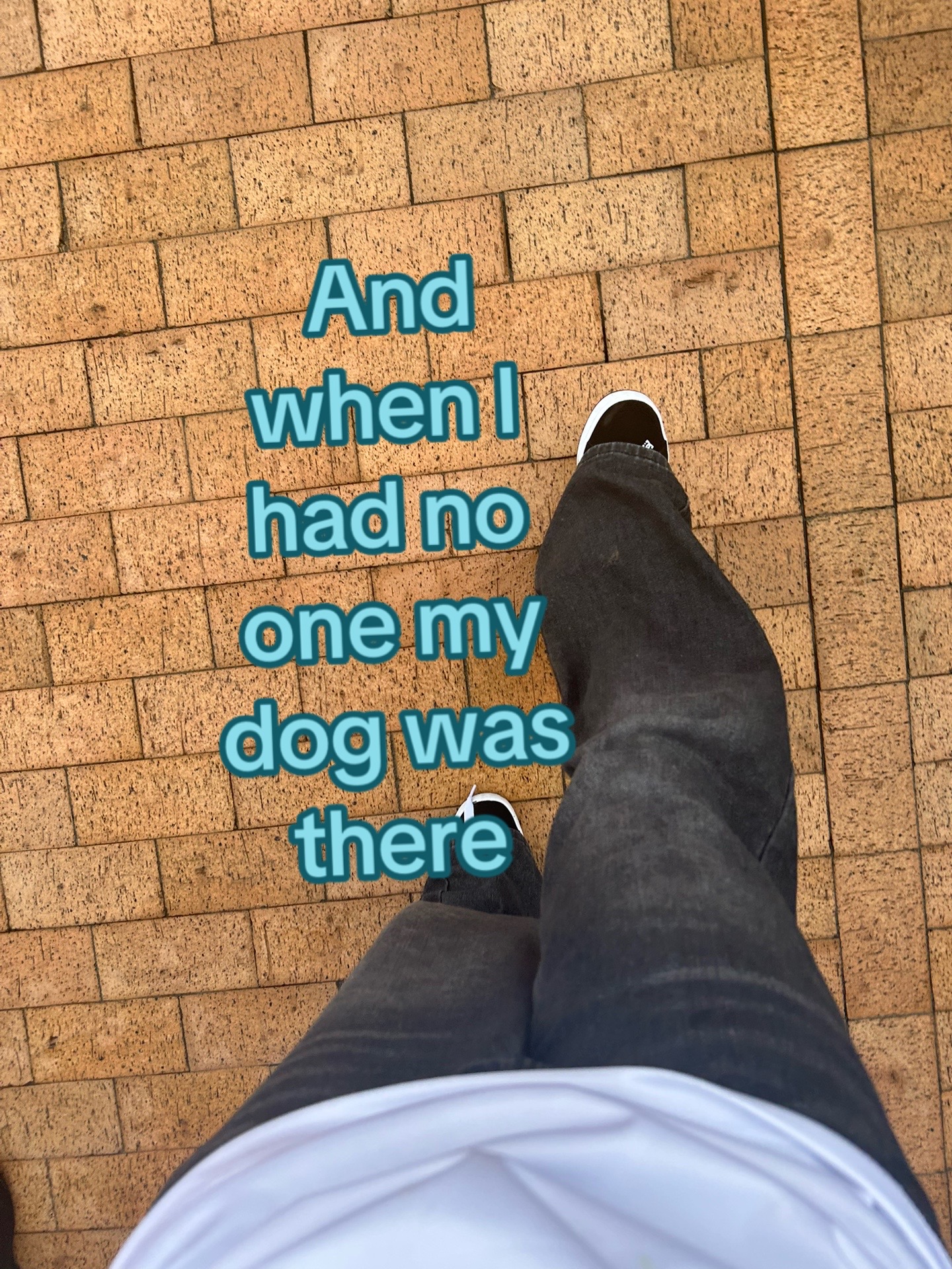 @≽^• ˕ • ྀི≼