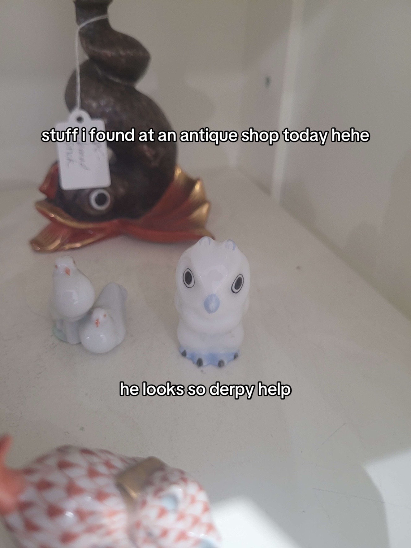 @ཐི 𝔳𝔦𝔠𝔱𝔬𝔯 ཋྀ