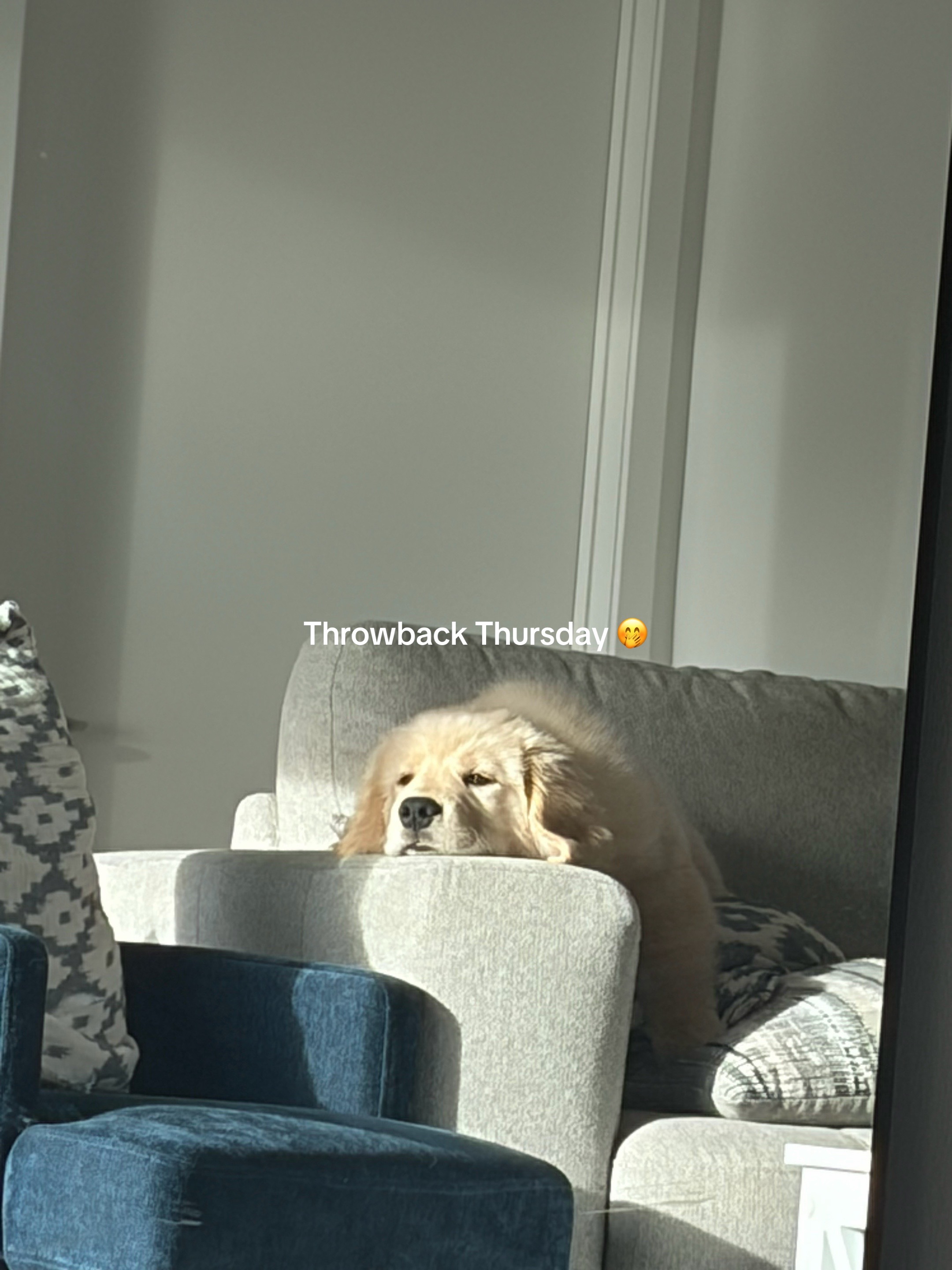 @Luca the Golden
