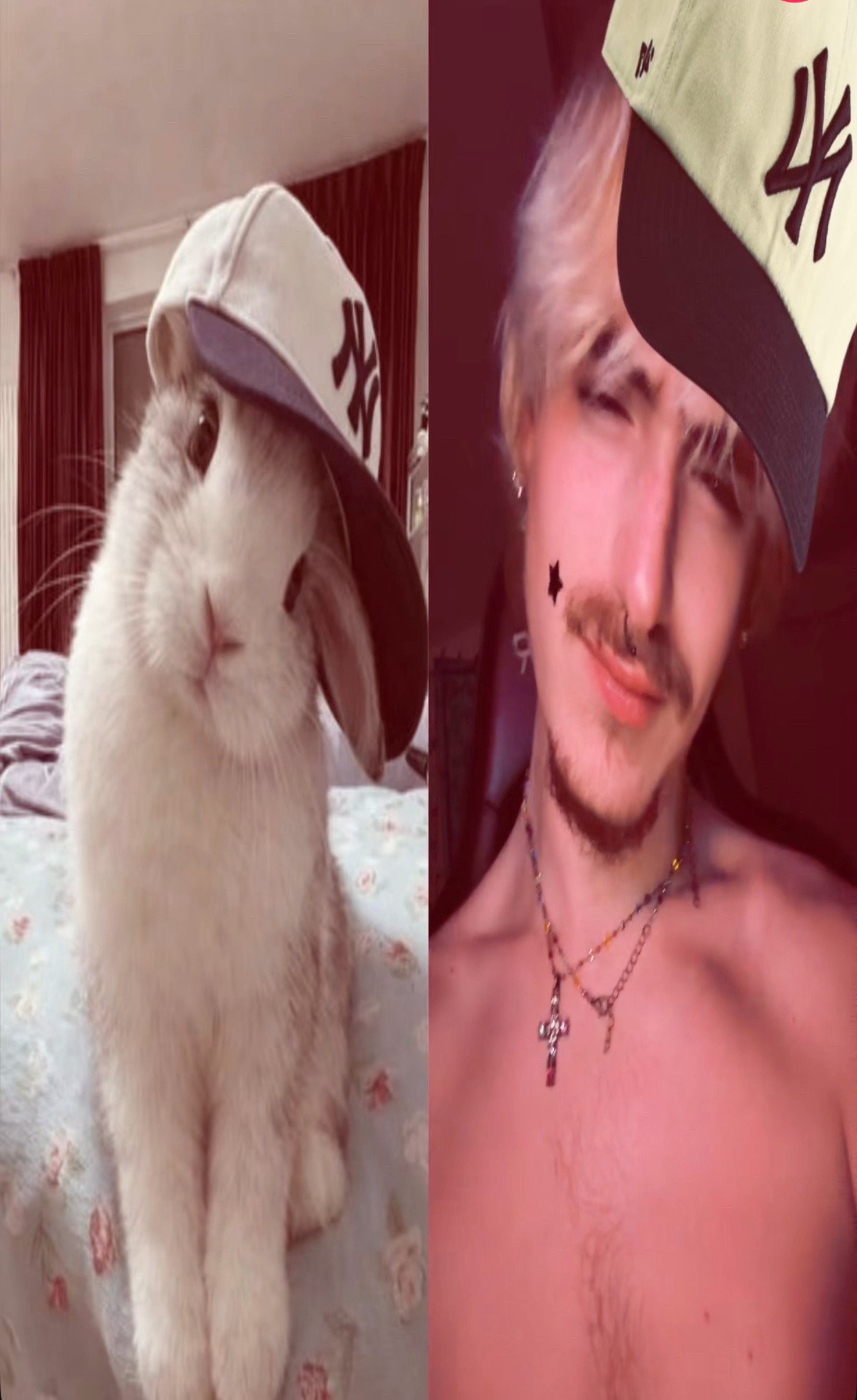 @Sunscar