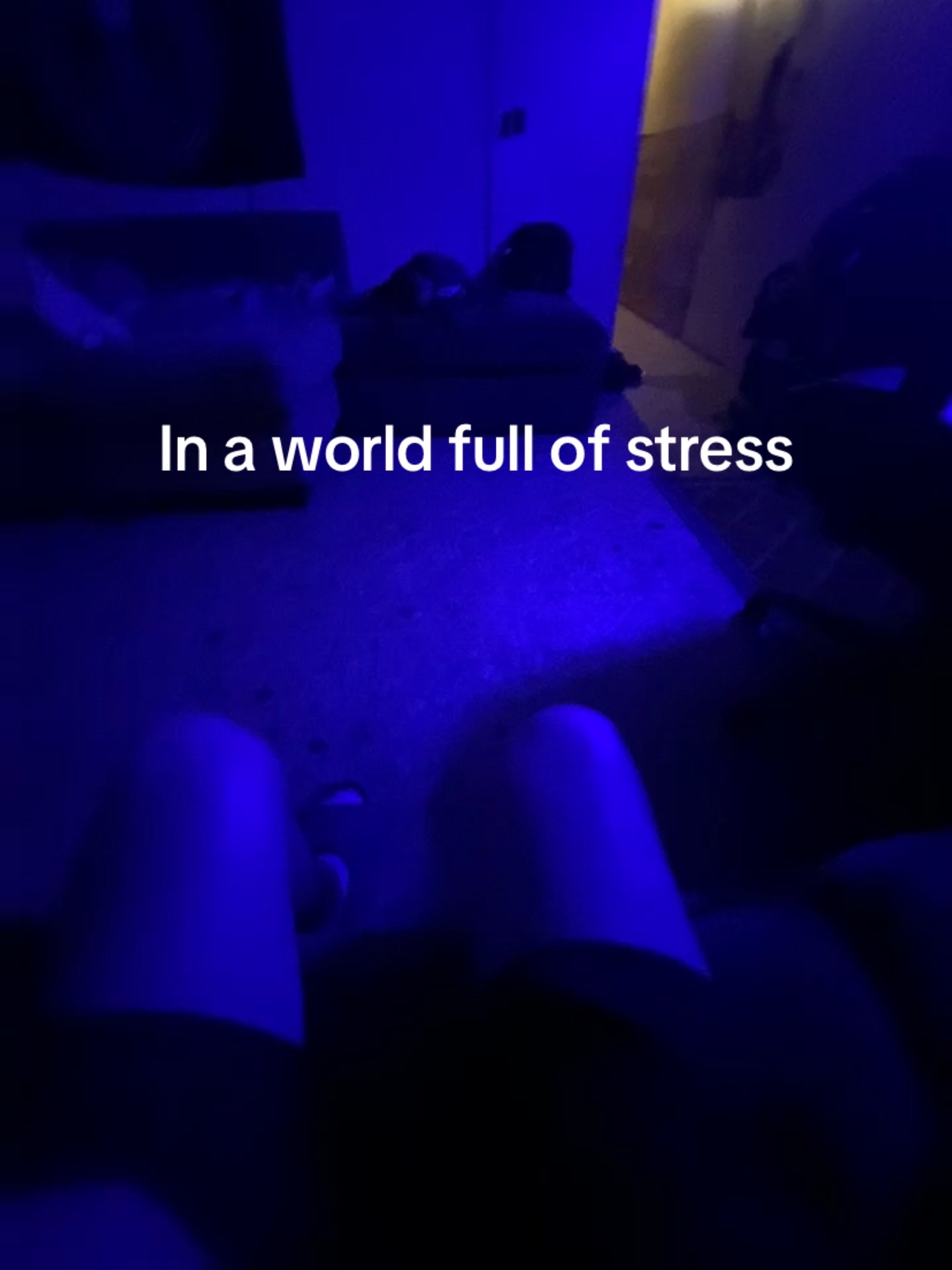 @huntdagoat1467