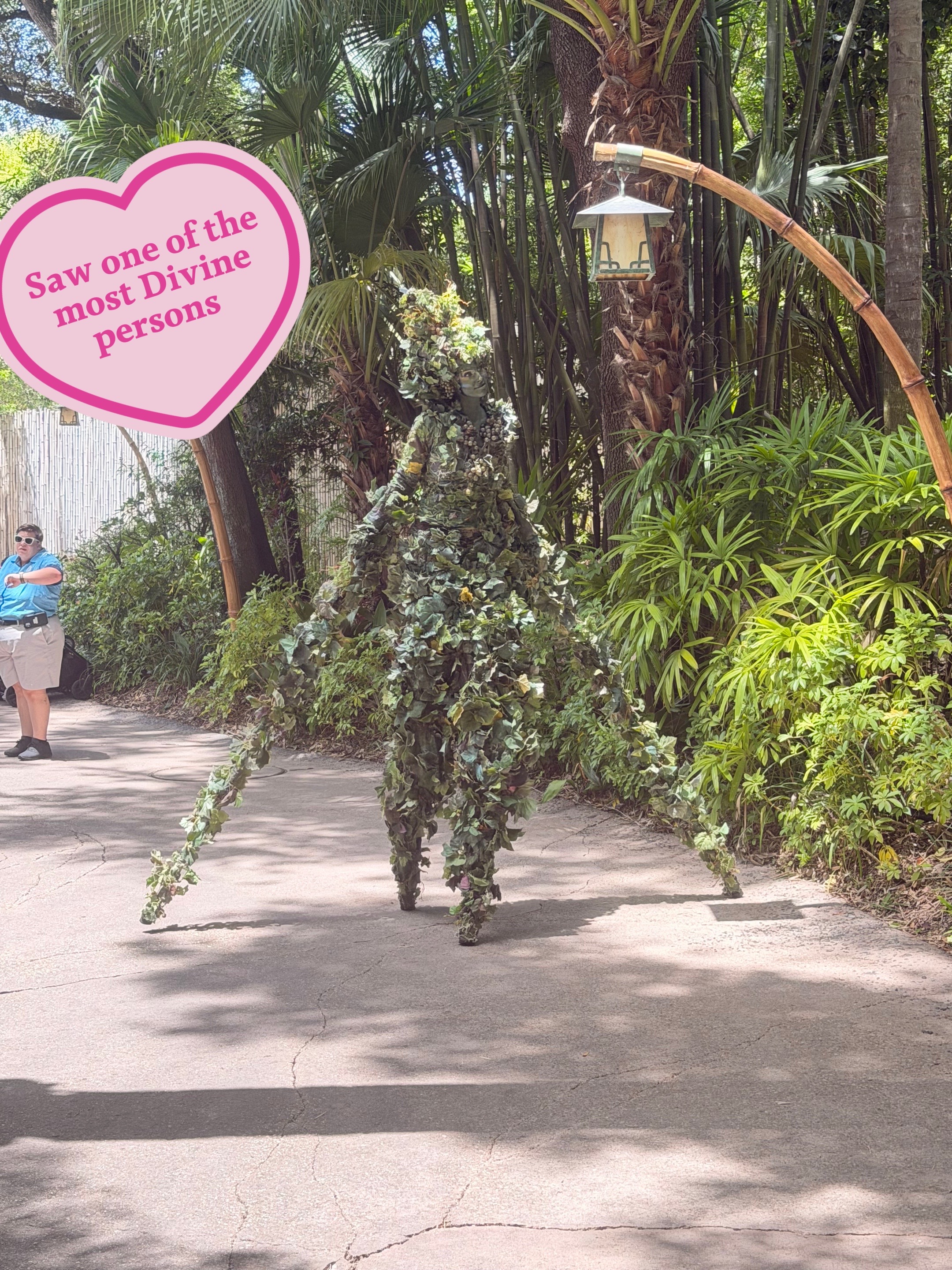 @Angie’s Showcase
