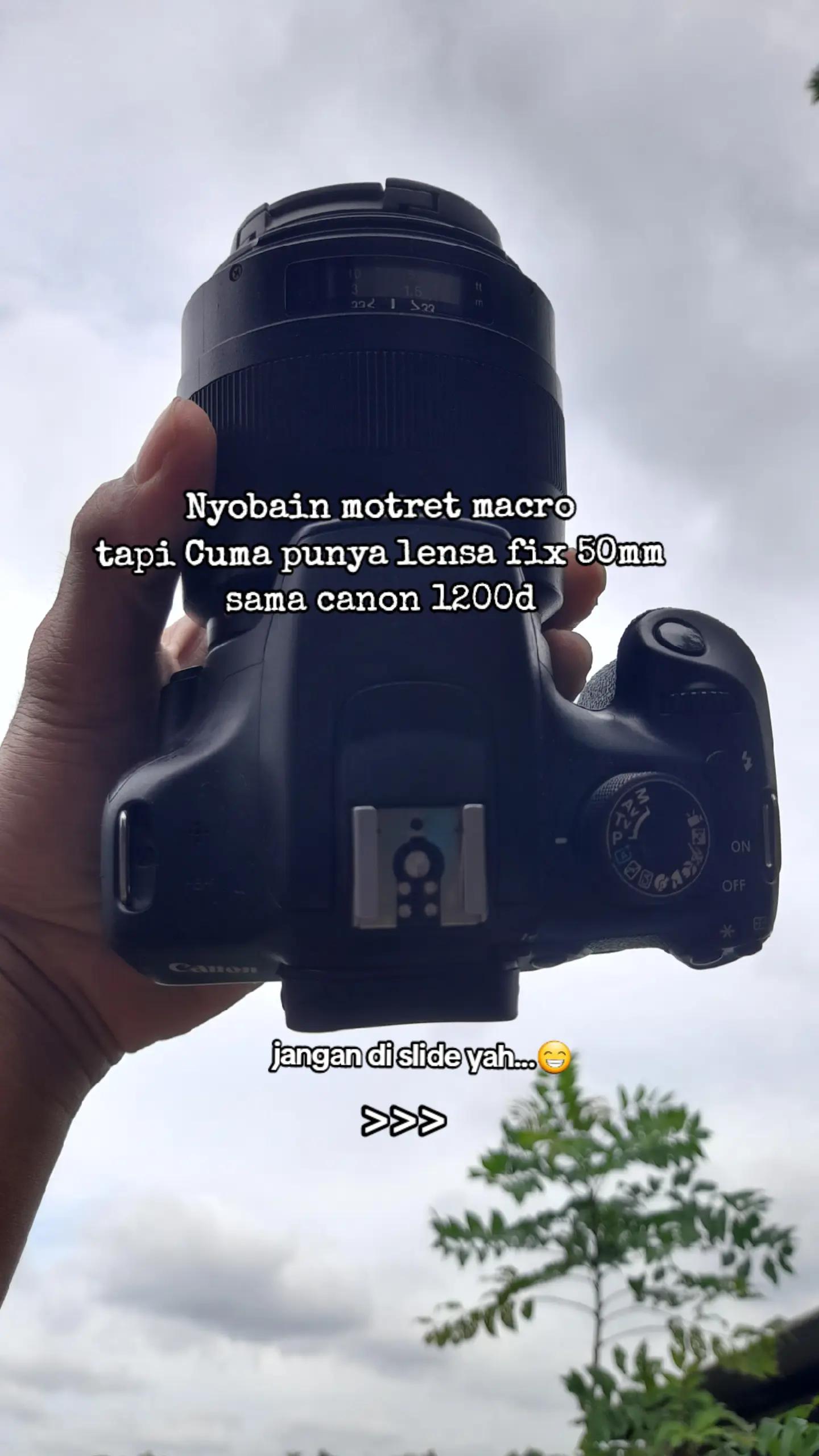 @Mr Bocah