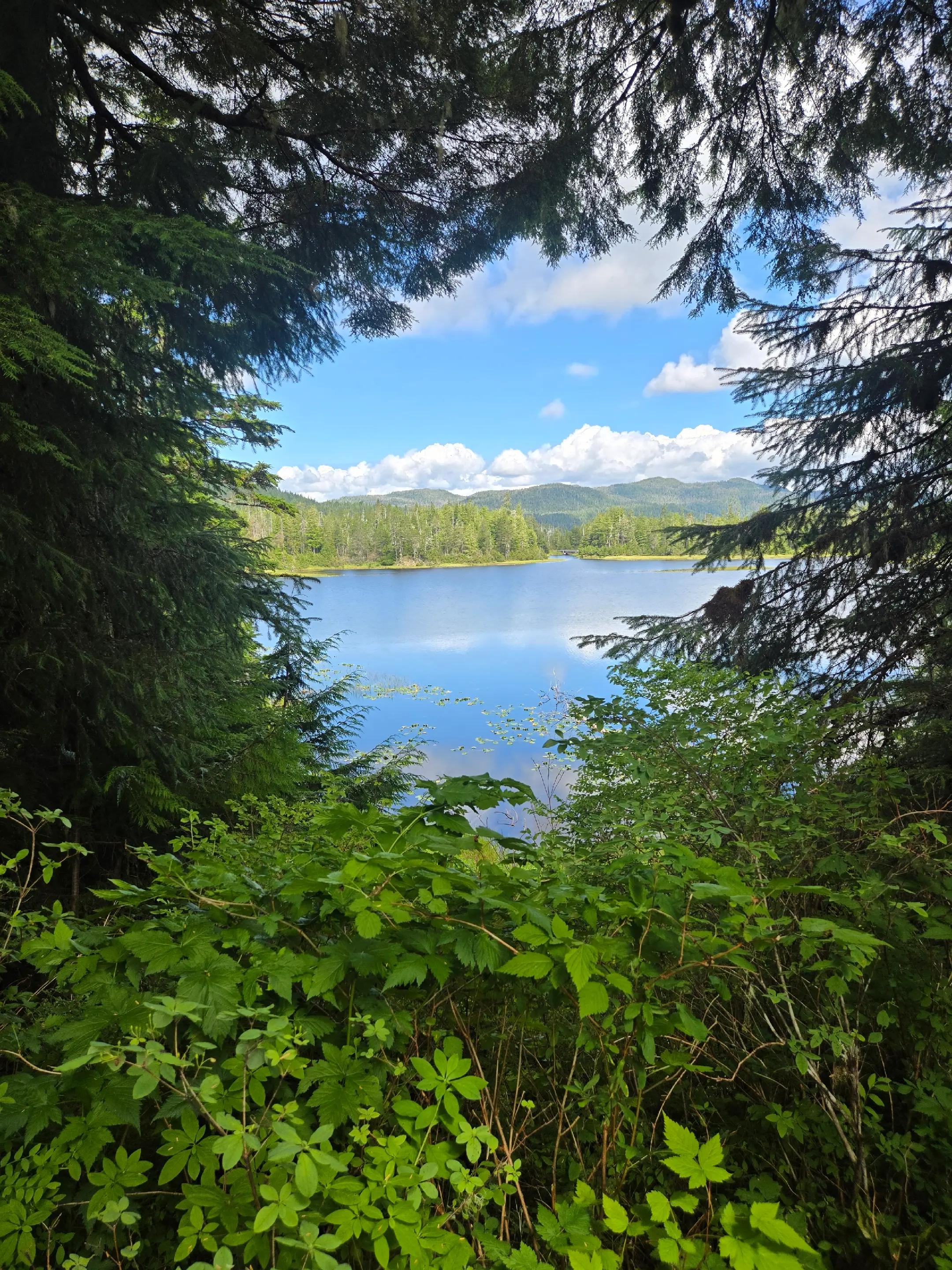 @Alaska's jim stone living wild