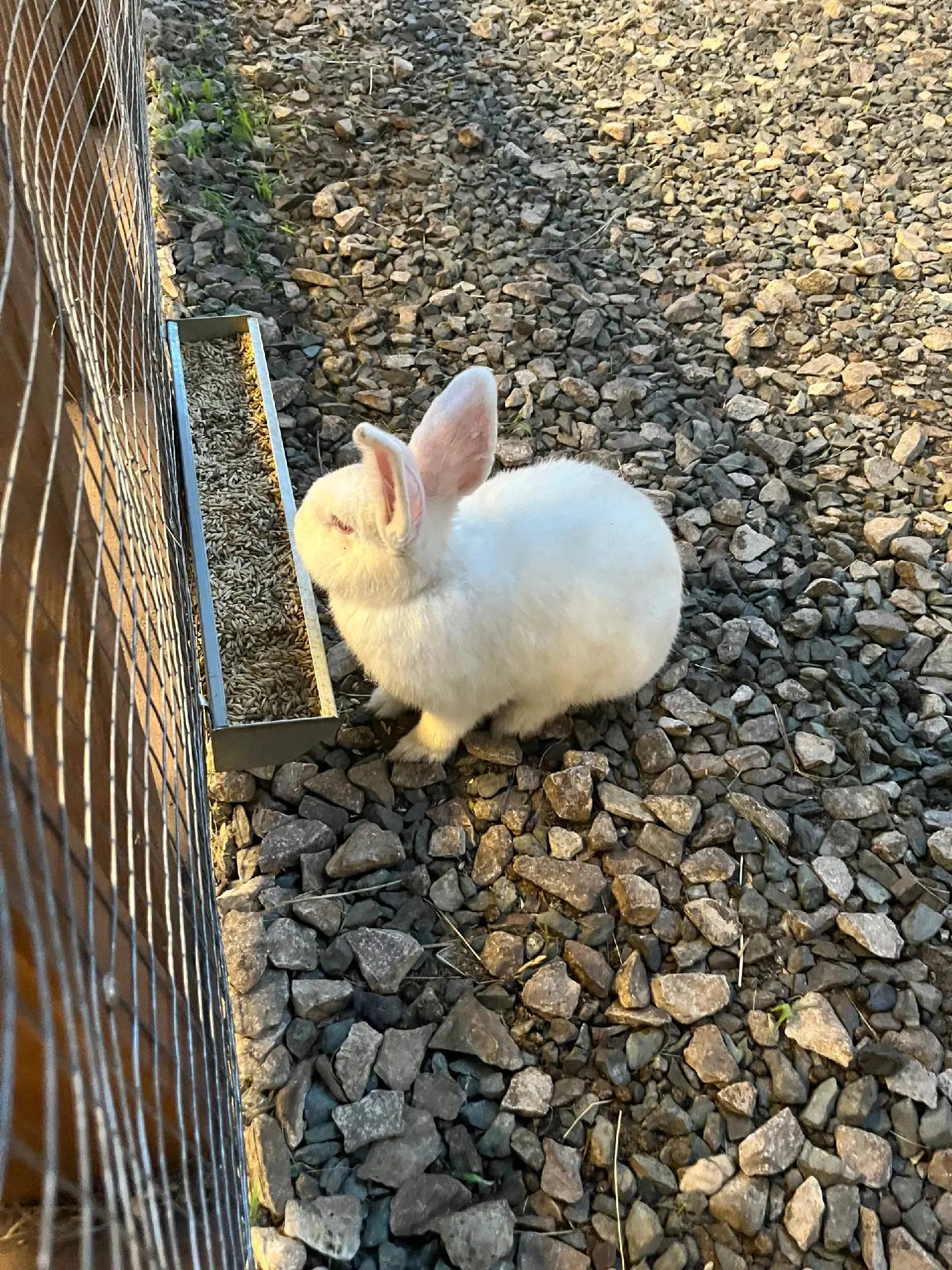 @Сашкк