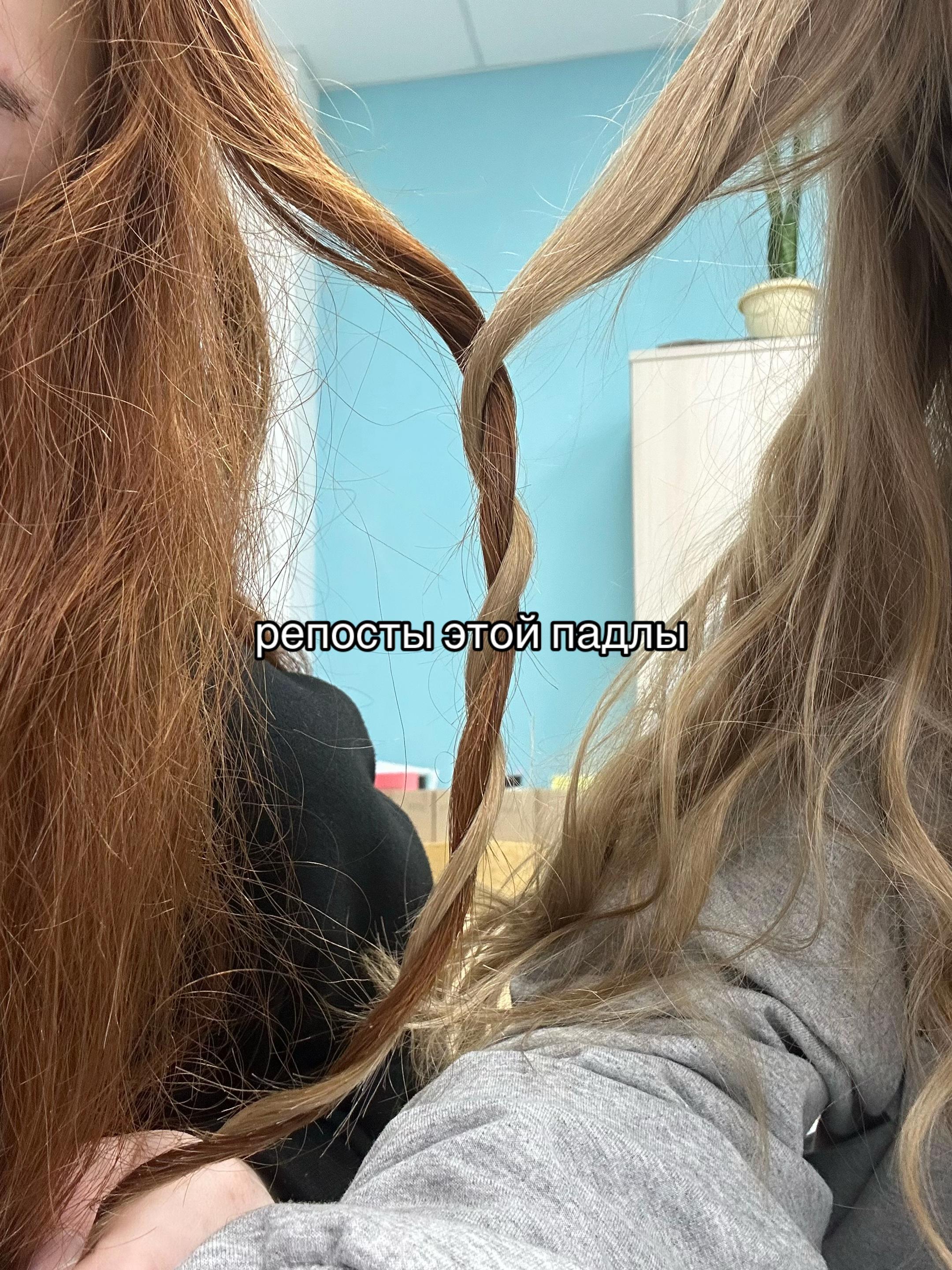 @кариша