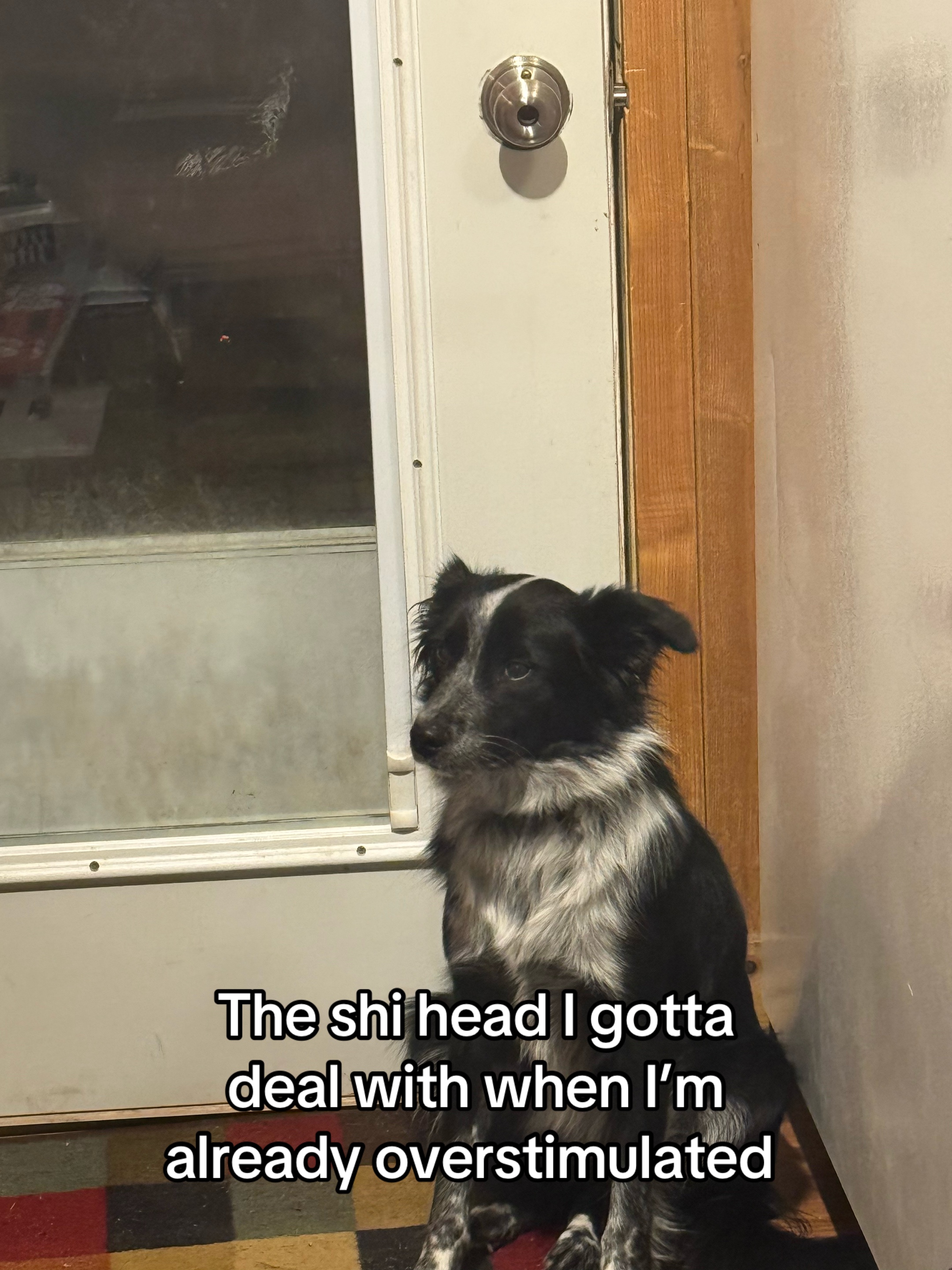 @Levi
