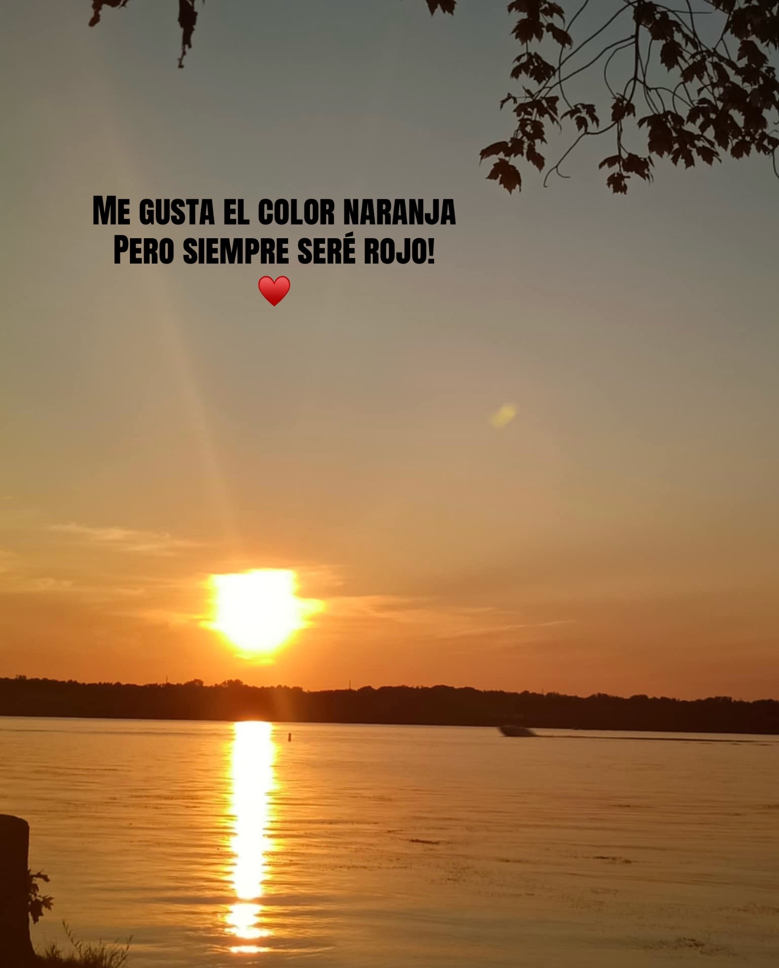 @Pao🧡✨