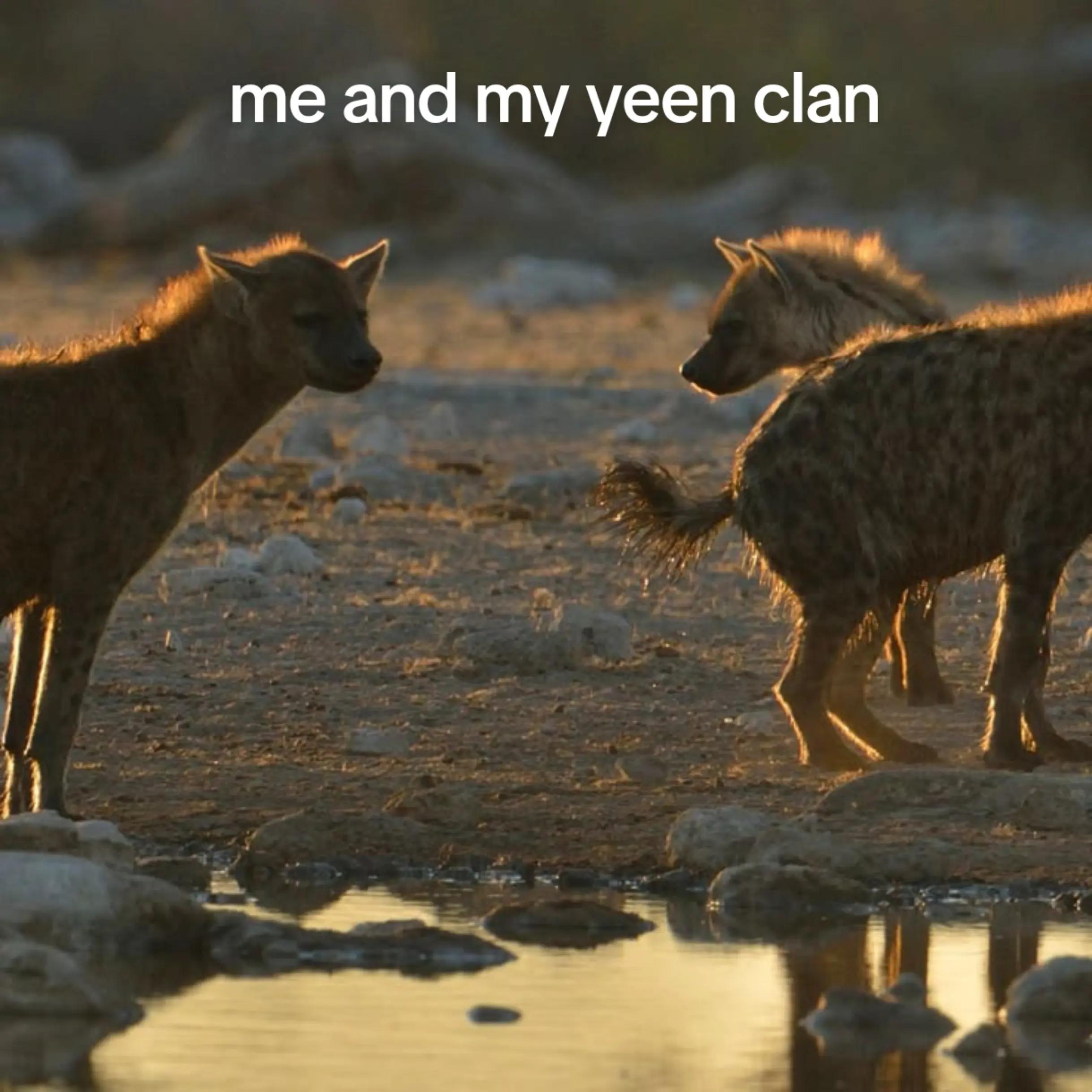 @AbrahamTheHyena✝️