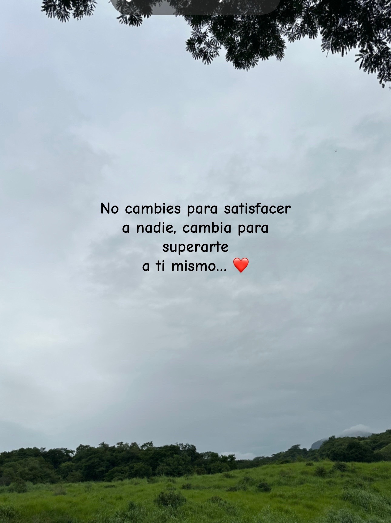 @Kristel