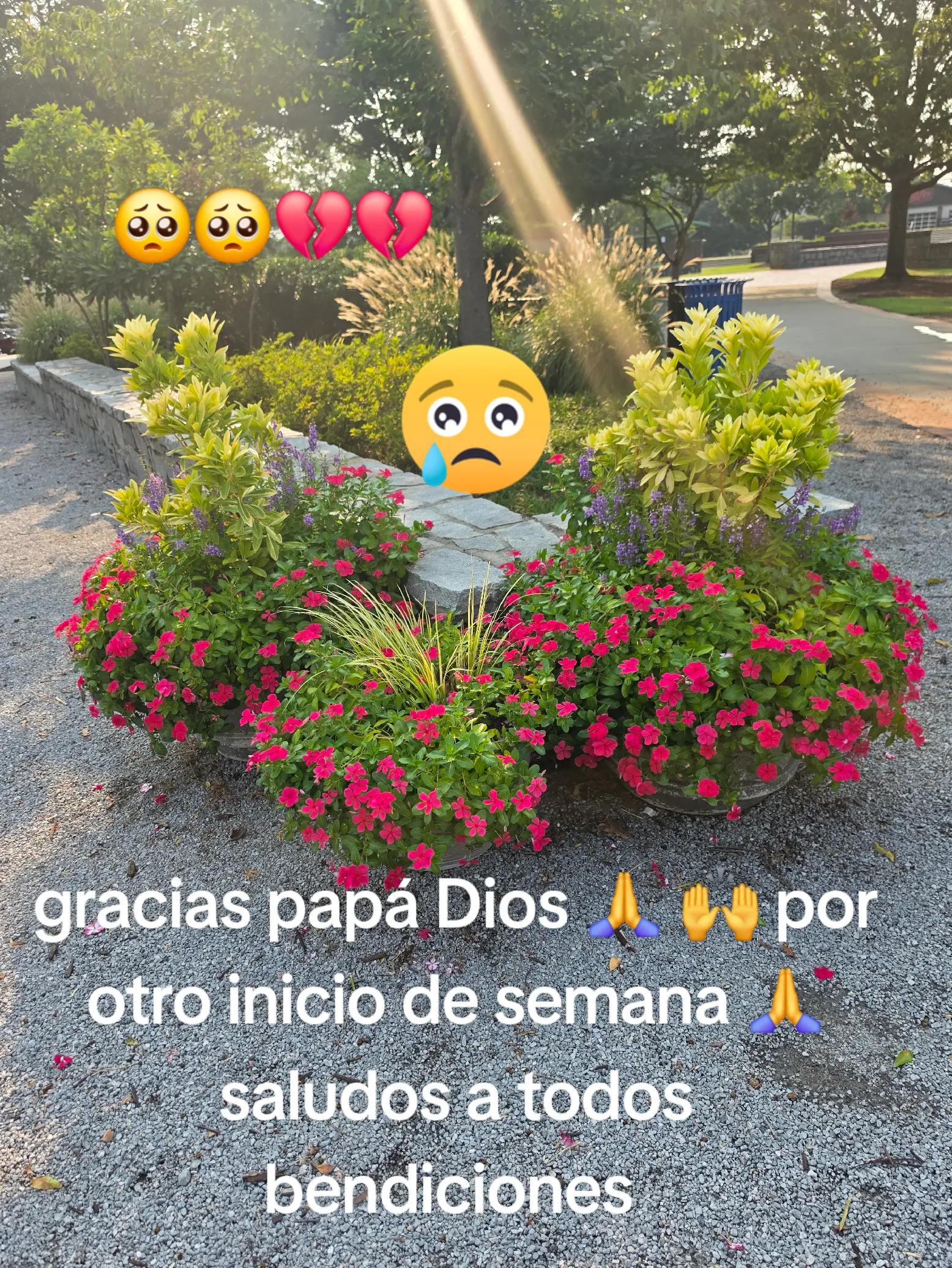 @👑🦜❤️🫶yuli🫶&hearts;️